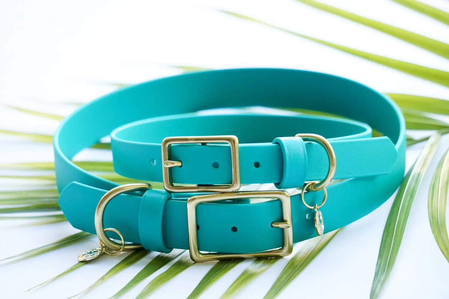 S U M M I T  +  S E A