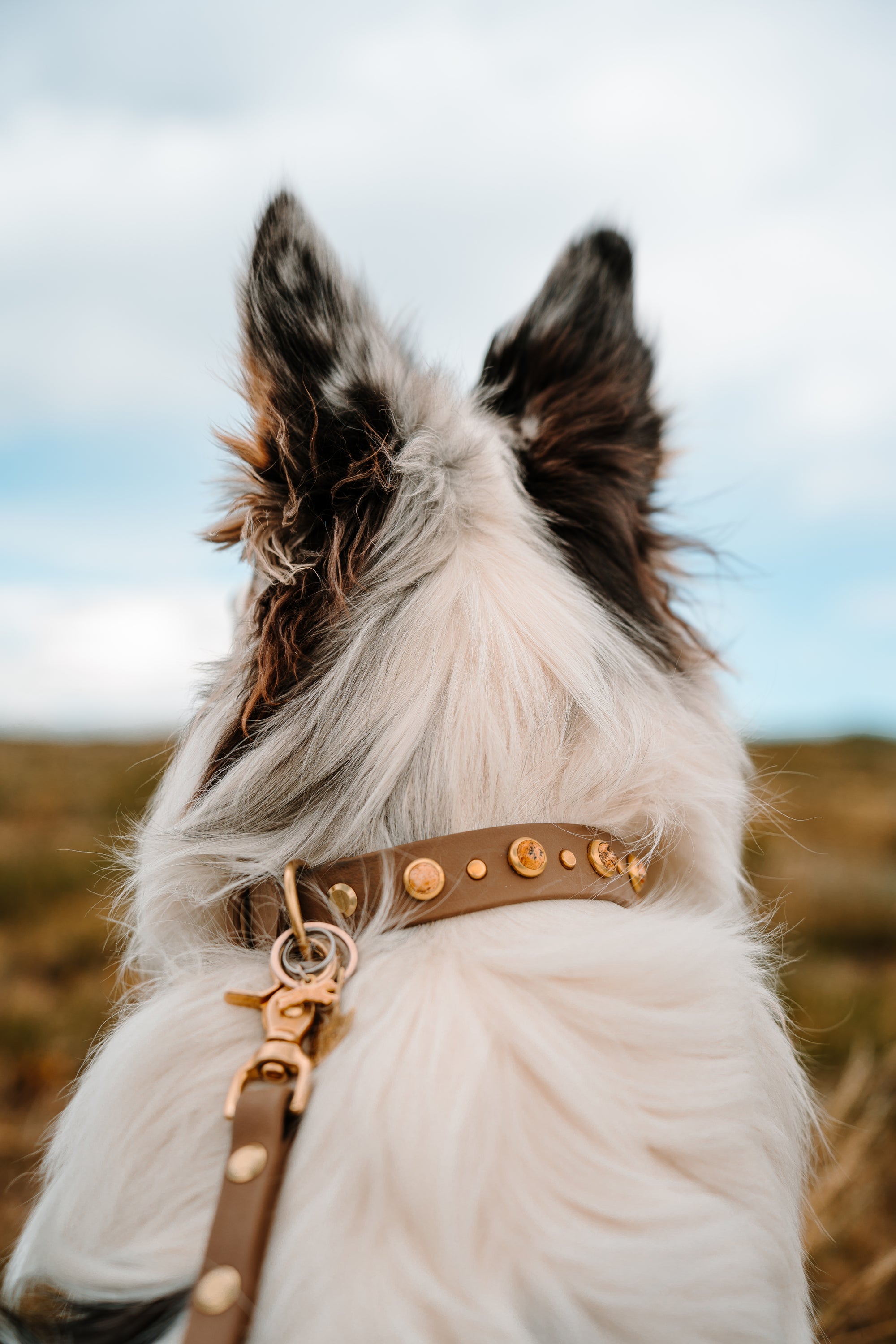 Furberry Plaid Dog Leash  Classic Hound Collar Co. - Classic Hound Collar  Company