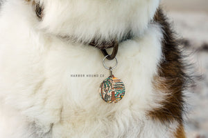 This Must Be the Place, Pet Tag