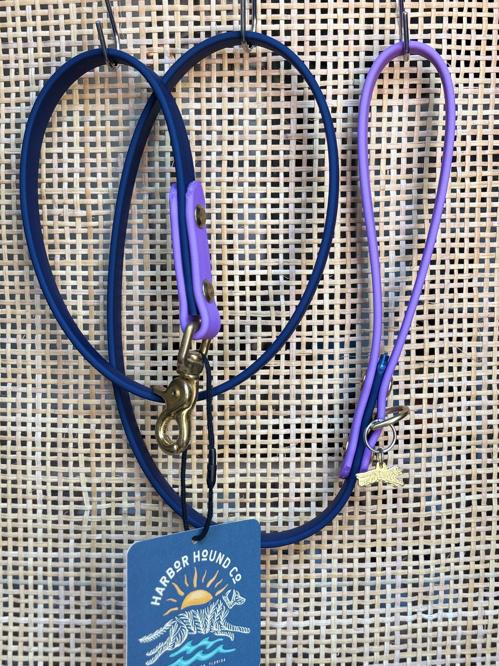 4' Traditional Leash, 5/8" wide