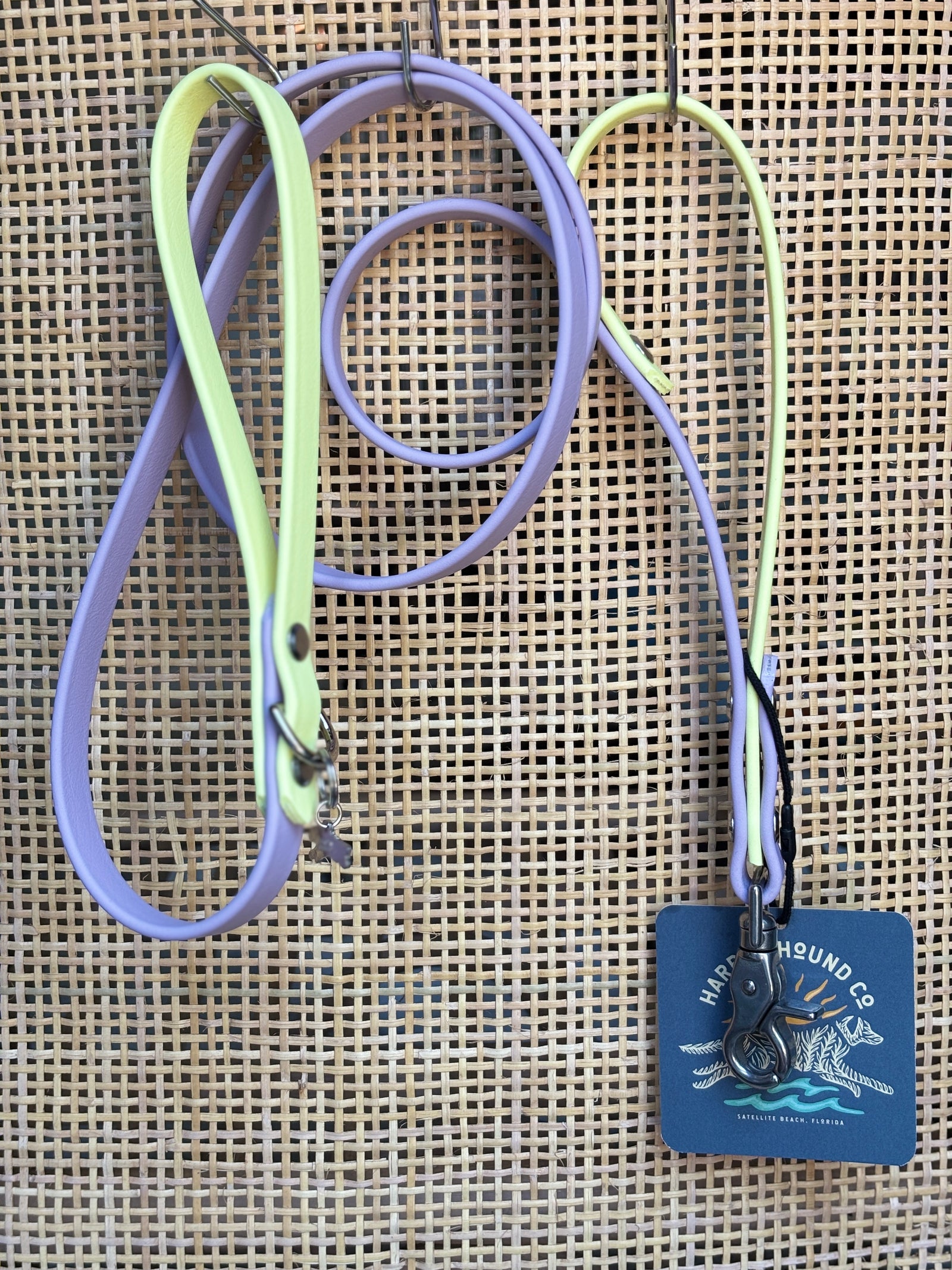 5' Traditional Leash, 5/8" wide