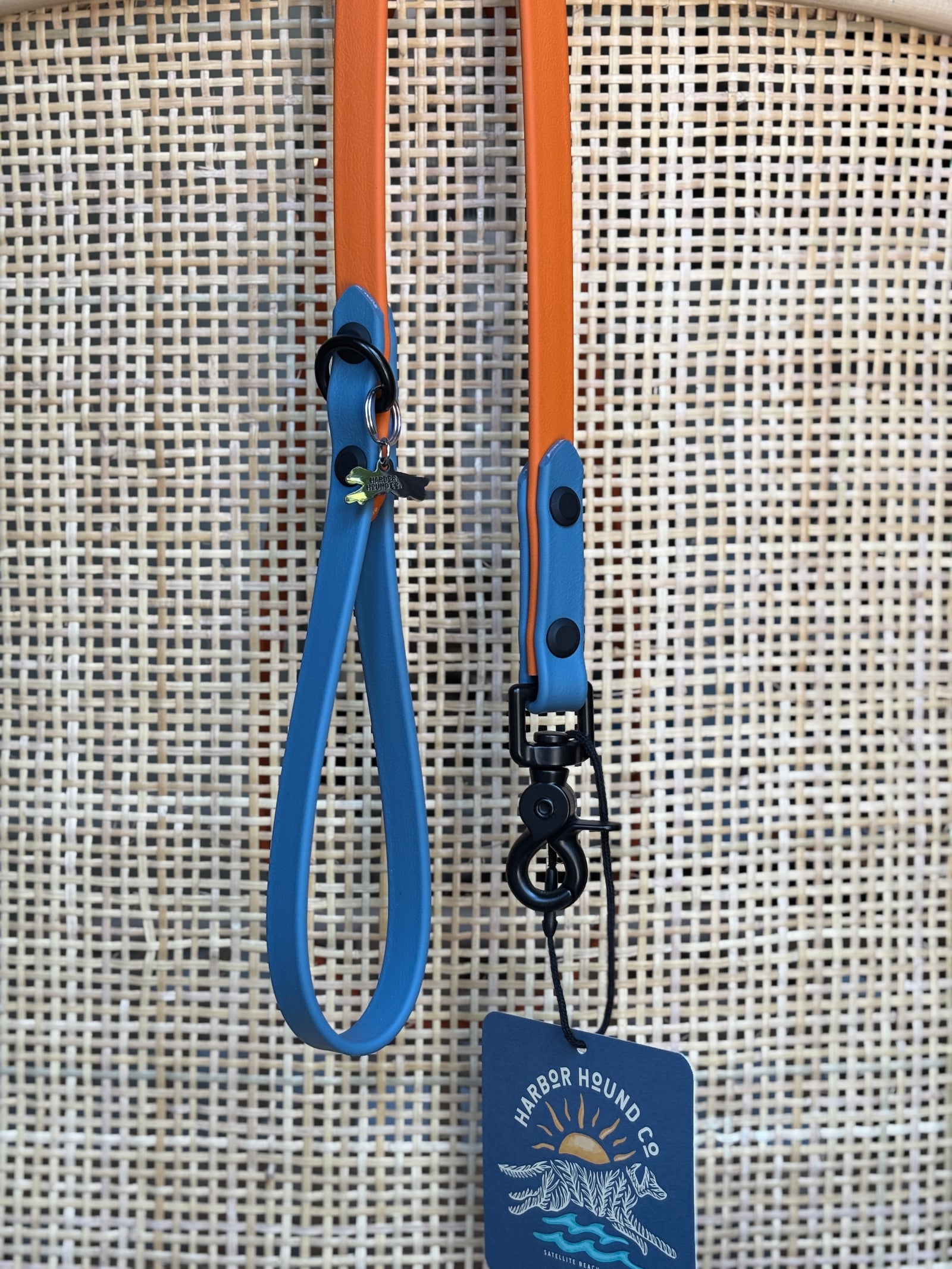 5' Traditional Leash, 5/8" wide