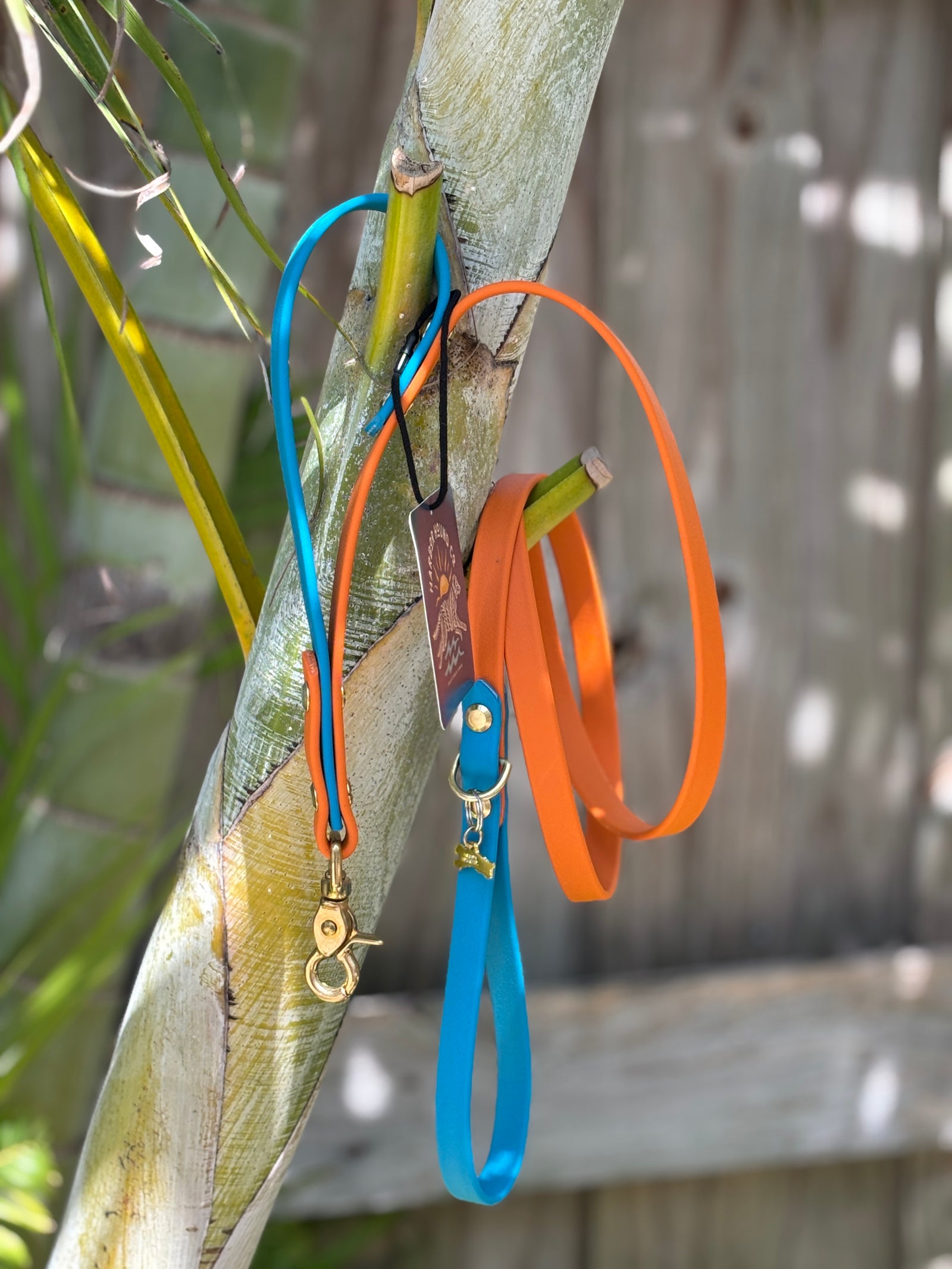 5' Traditional Leash, 5/8" wide