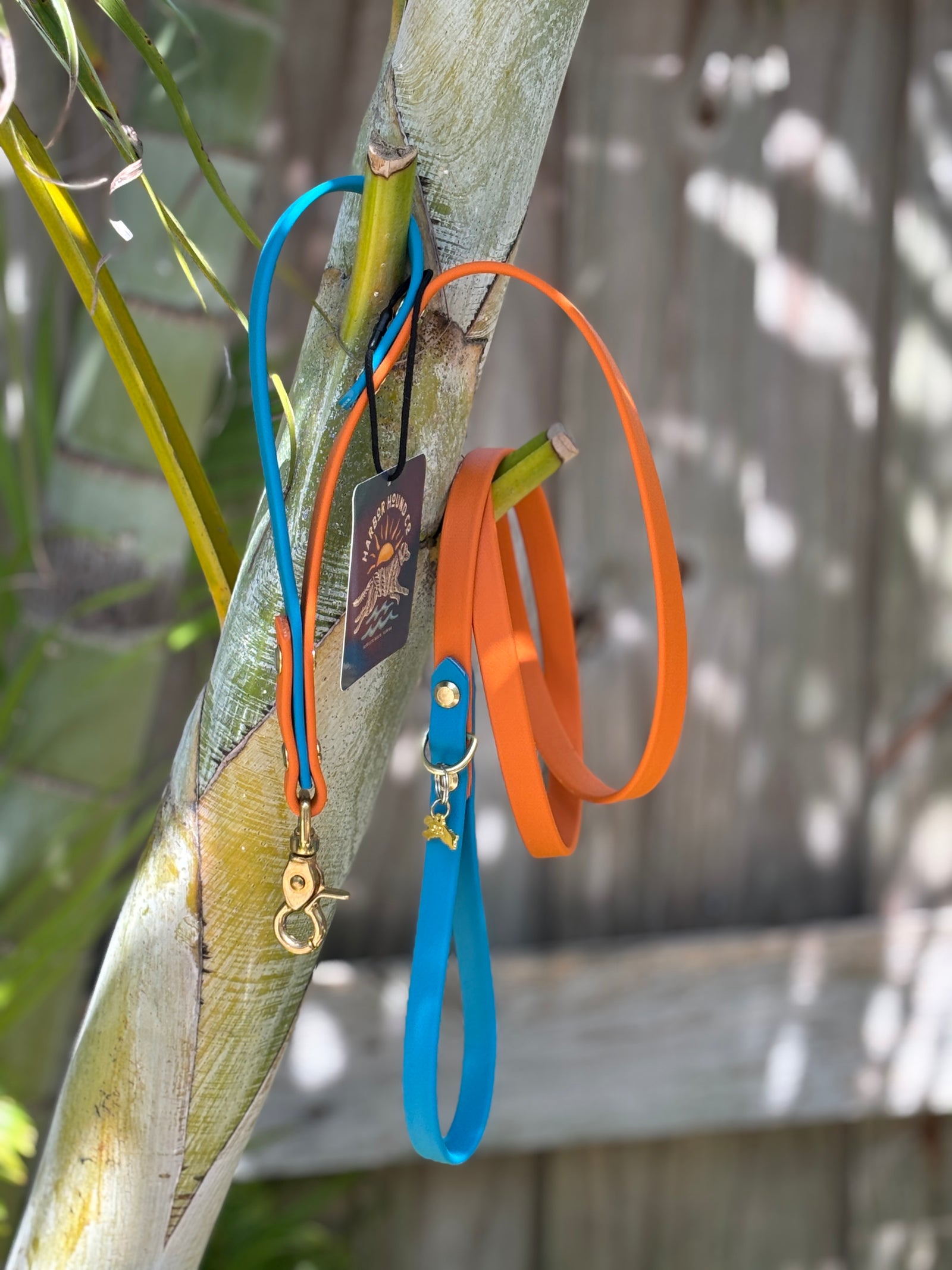 5' Traditional Leash, 5/8" wide