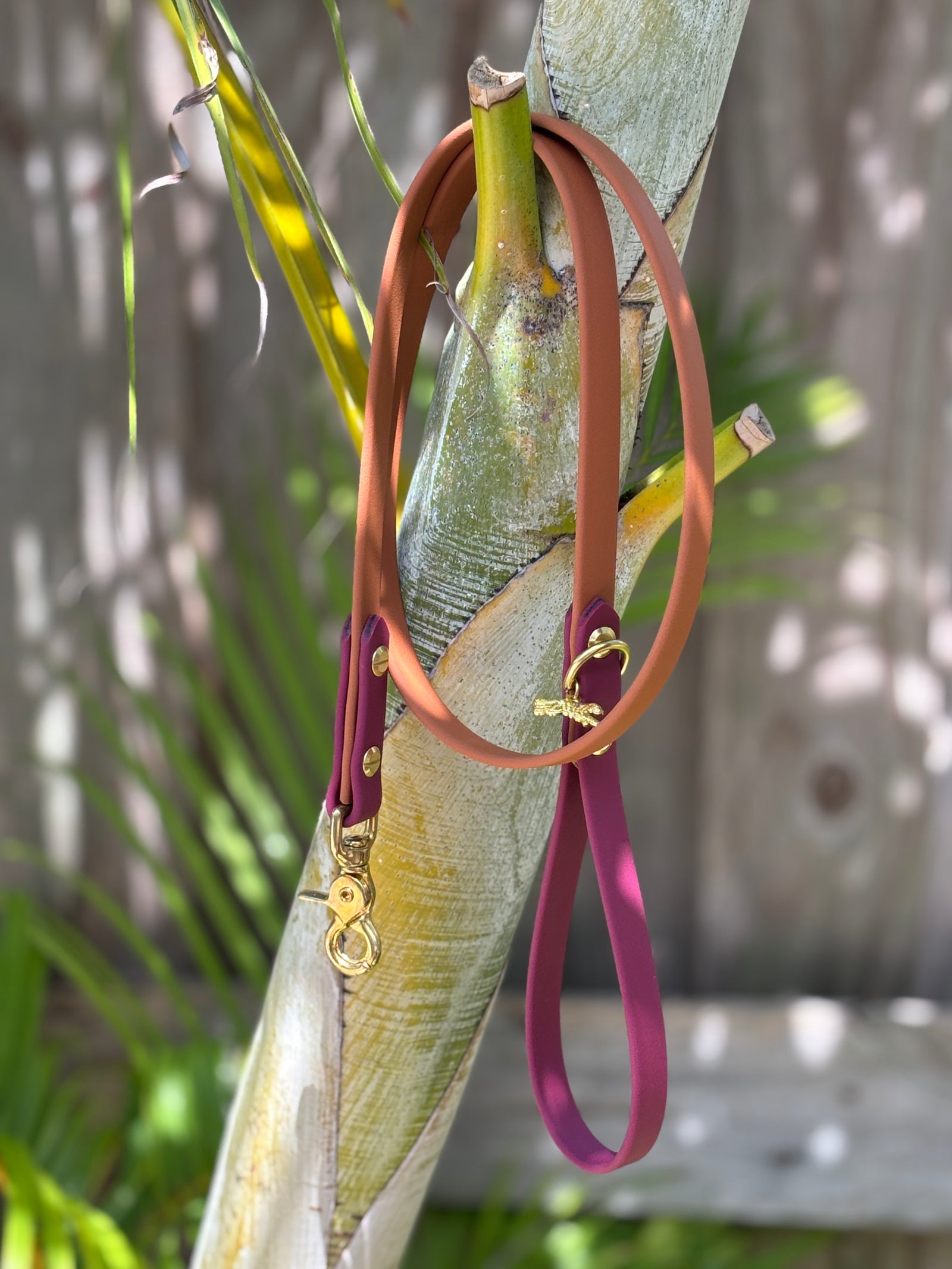 4' Traditional Leash, 5/8" wide