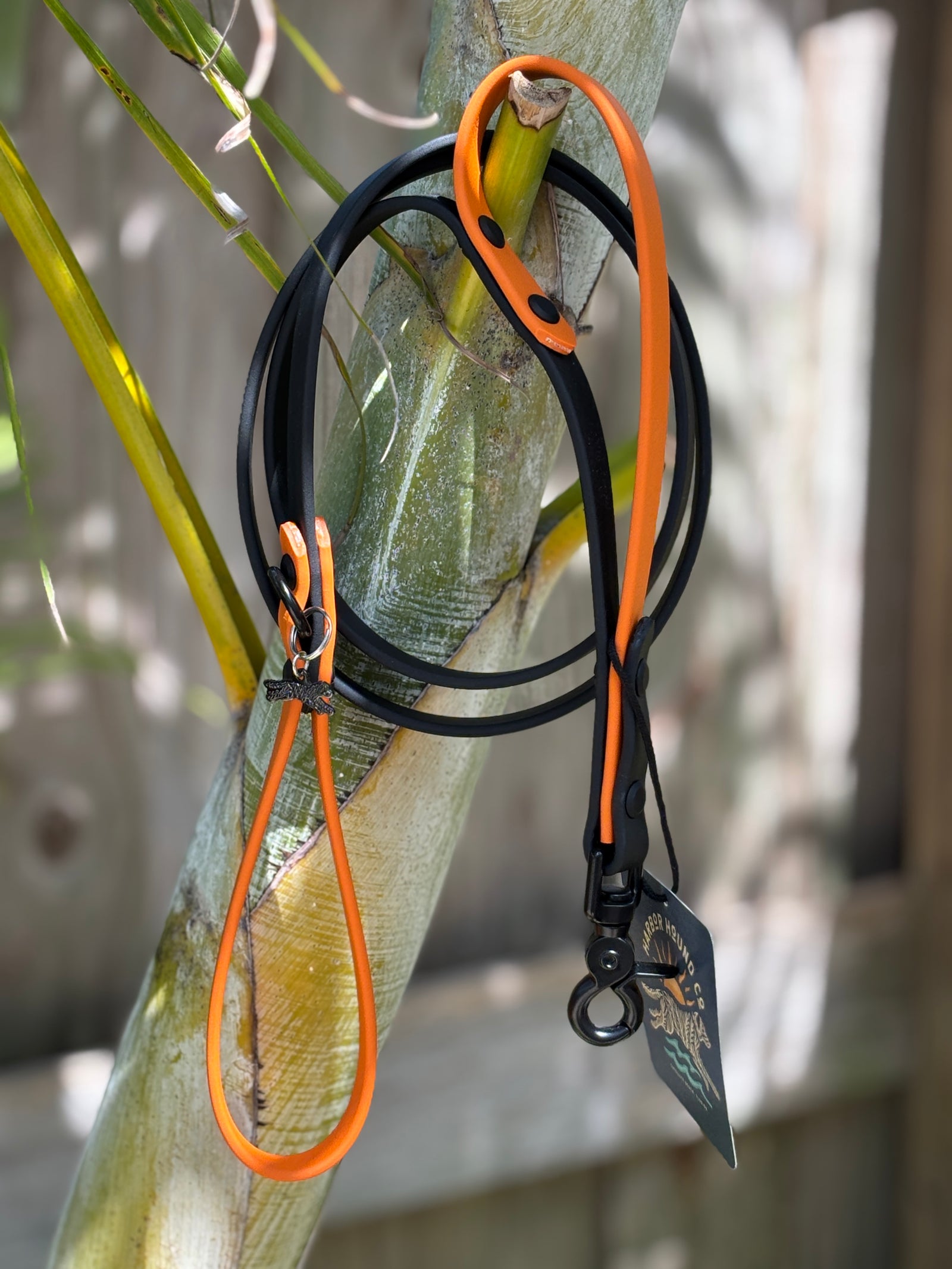 5' Traditional Leash, 5/8" wide