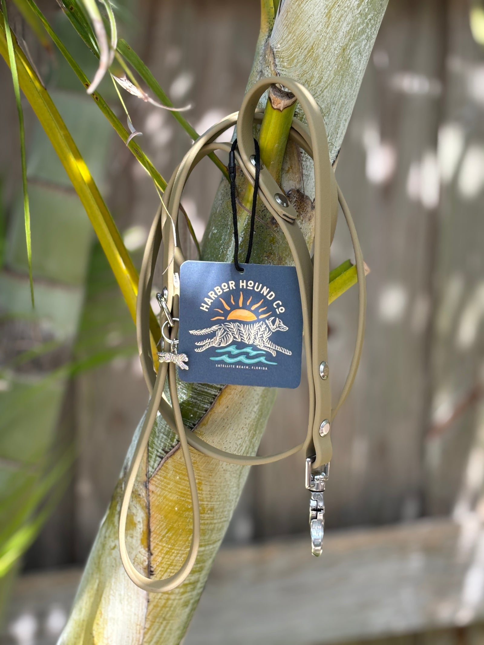 5' Traditional Leash, 5/8" wide