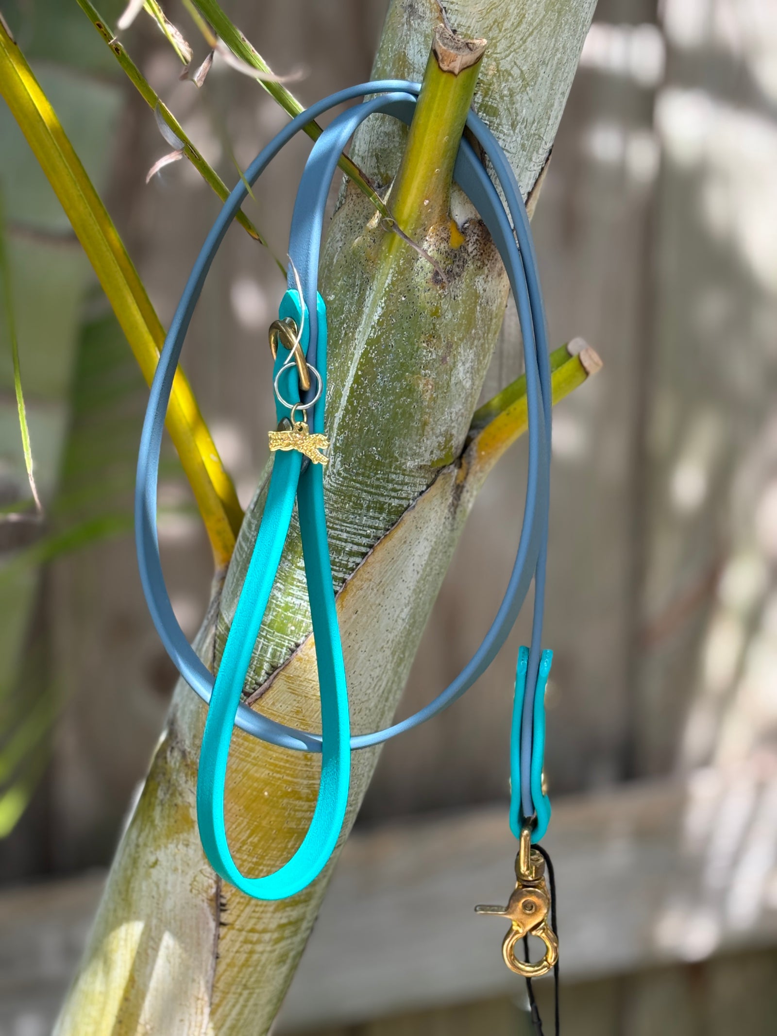 4' Traditional Leash, 5/8" wide