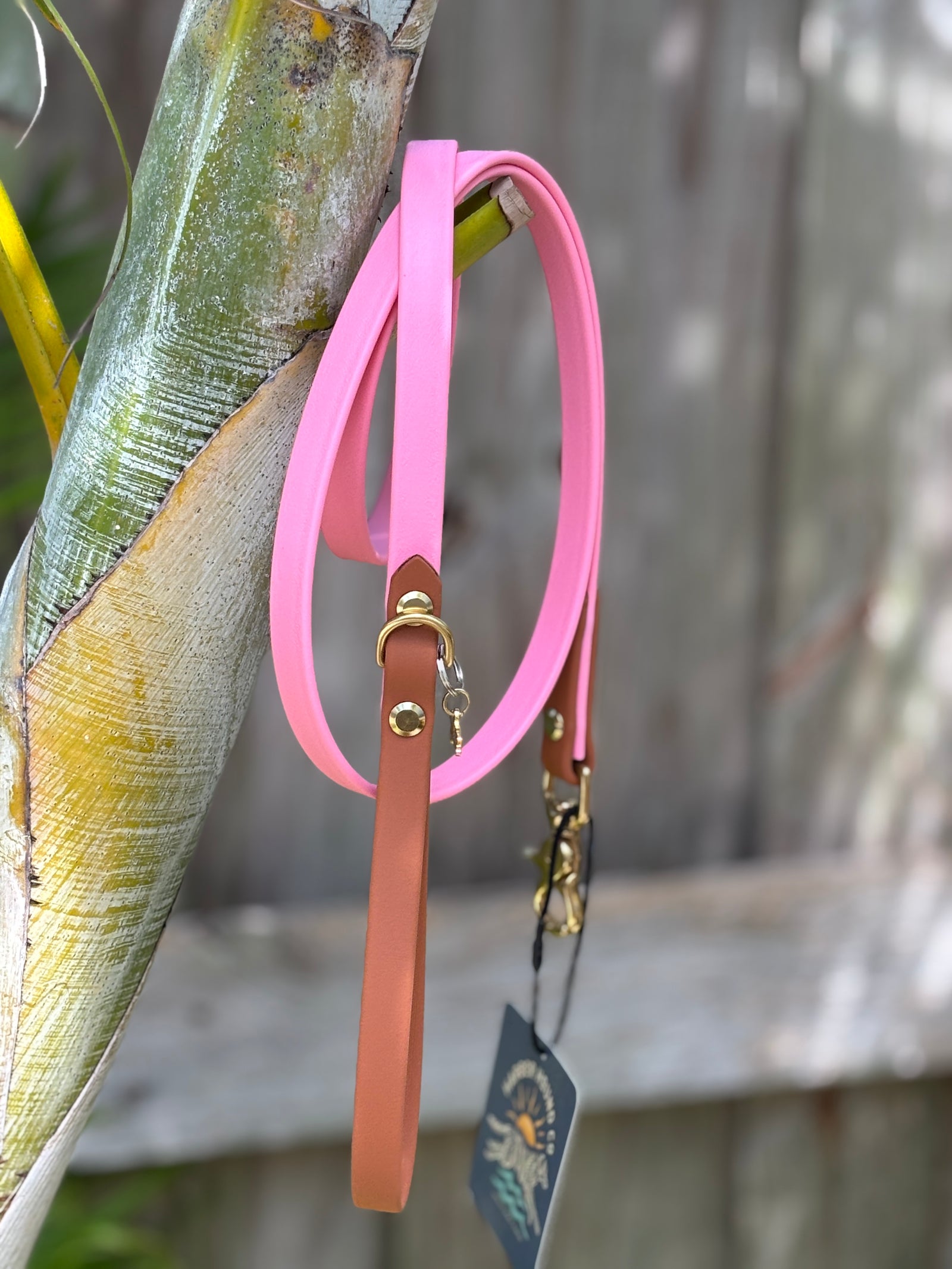 5' Traditional Leash, 5/8" wide