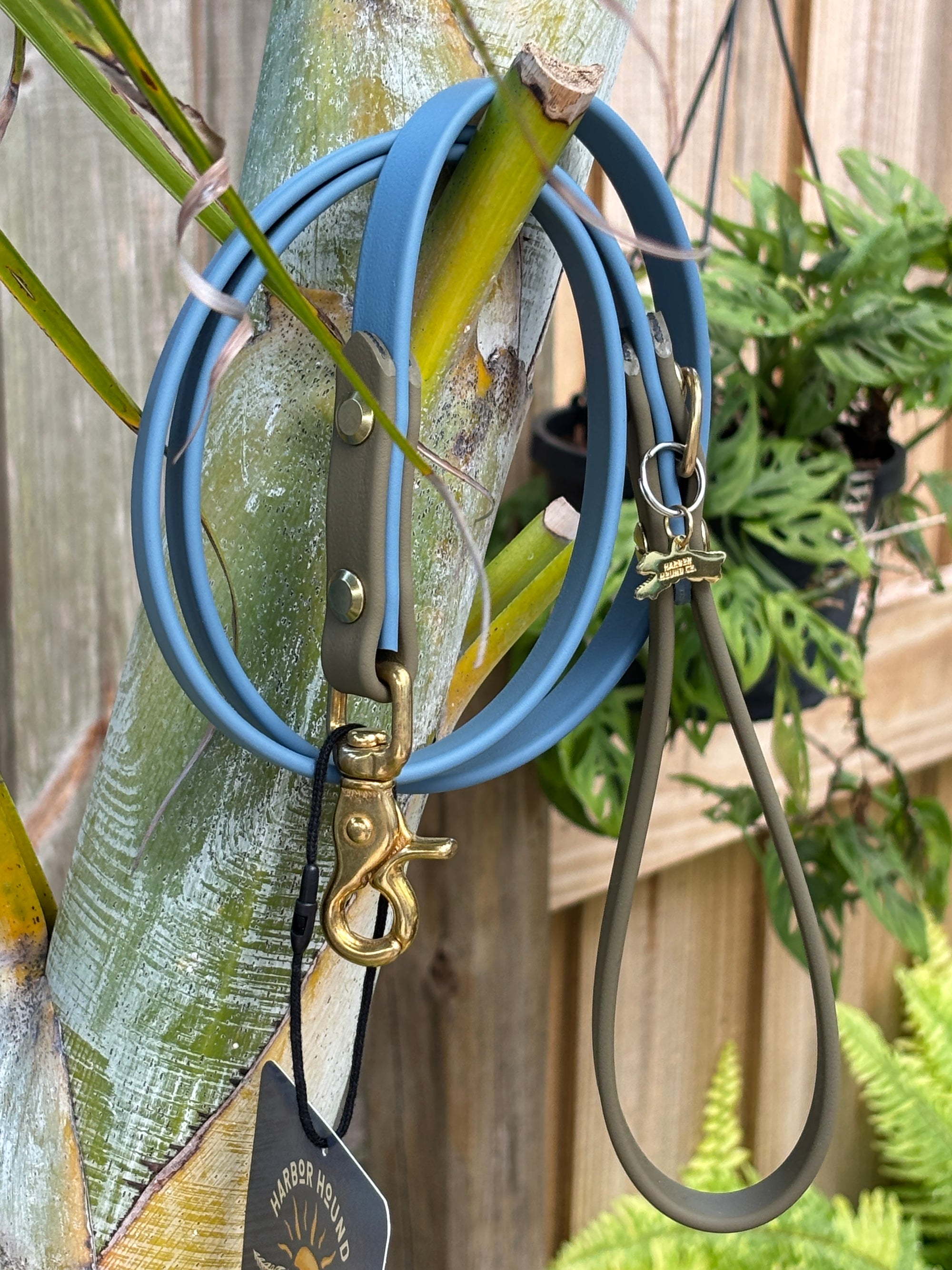 4' Traditional Leash, 5/8" wide