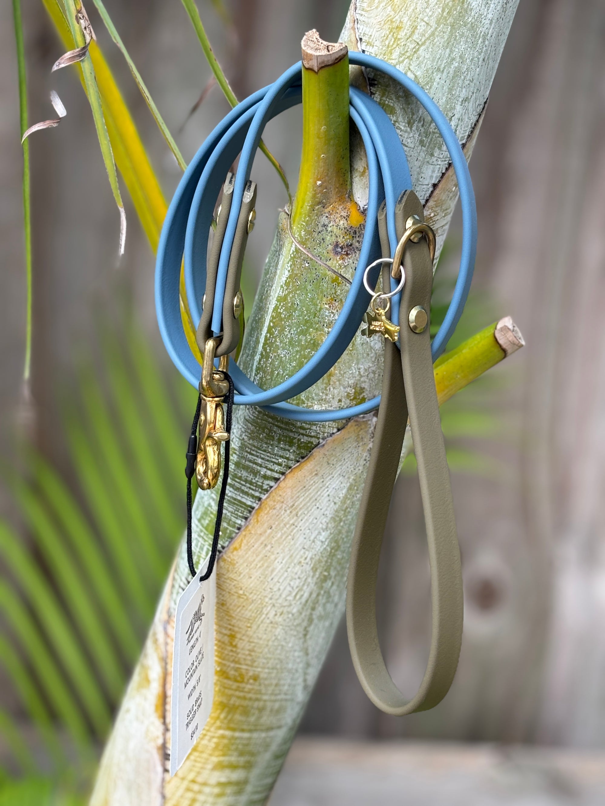4' Traditional Leash, 5/8" wide