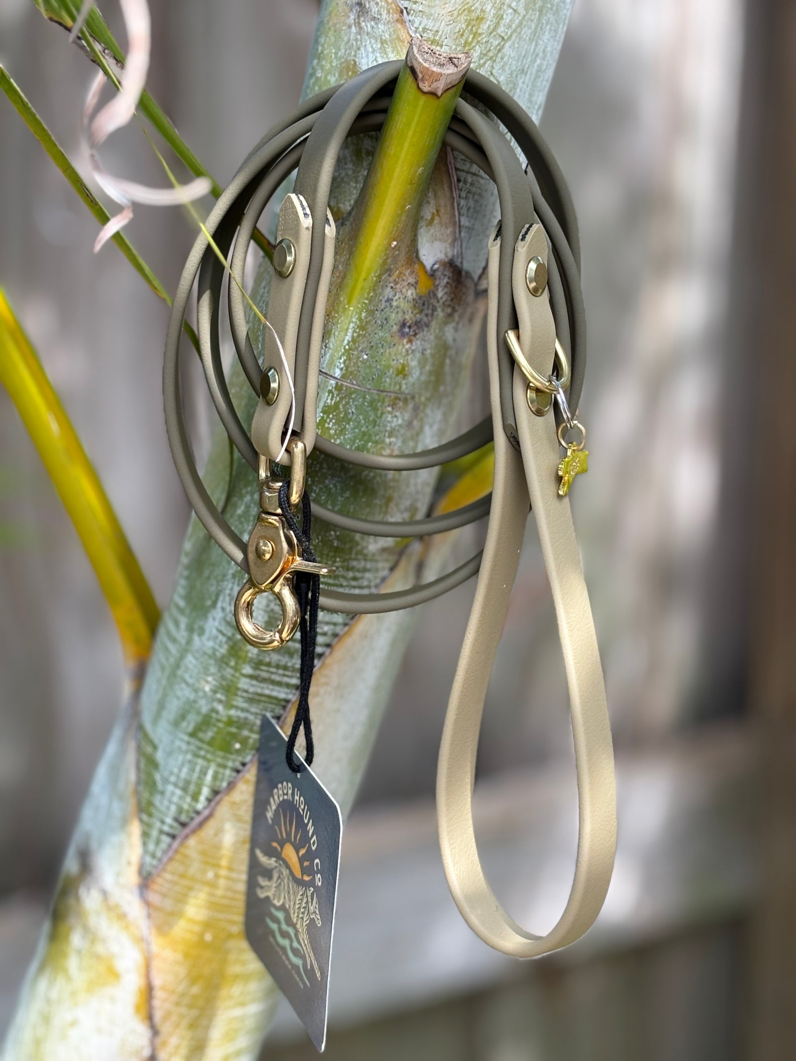 5' Traditional Leash, 5/8" wide