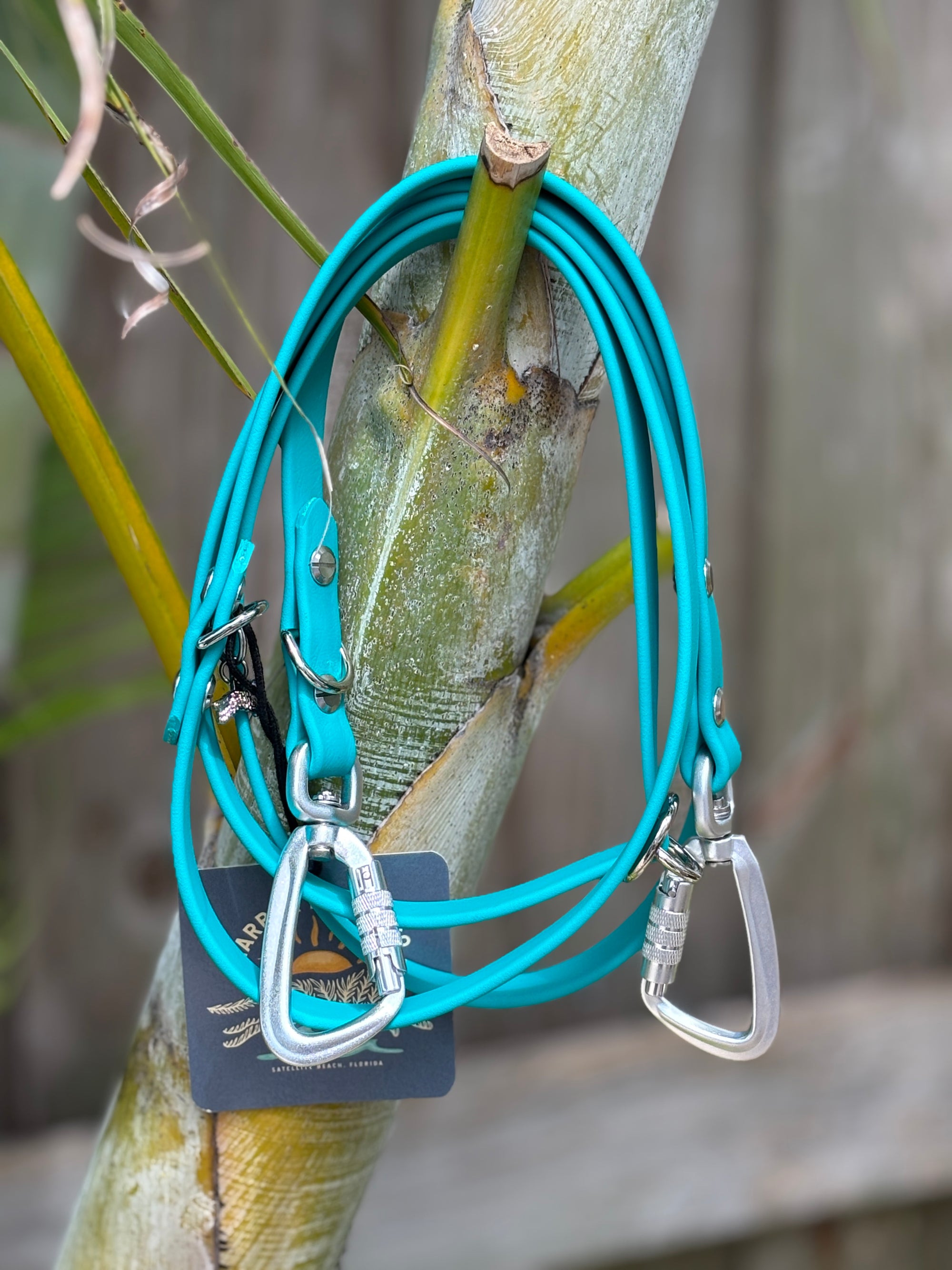 Odyssey Adjustable Leash, 5/8" TURQUOISE