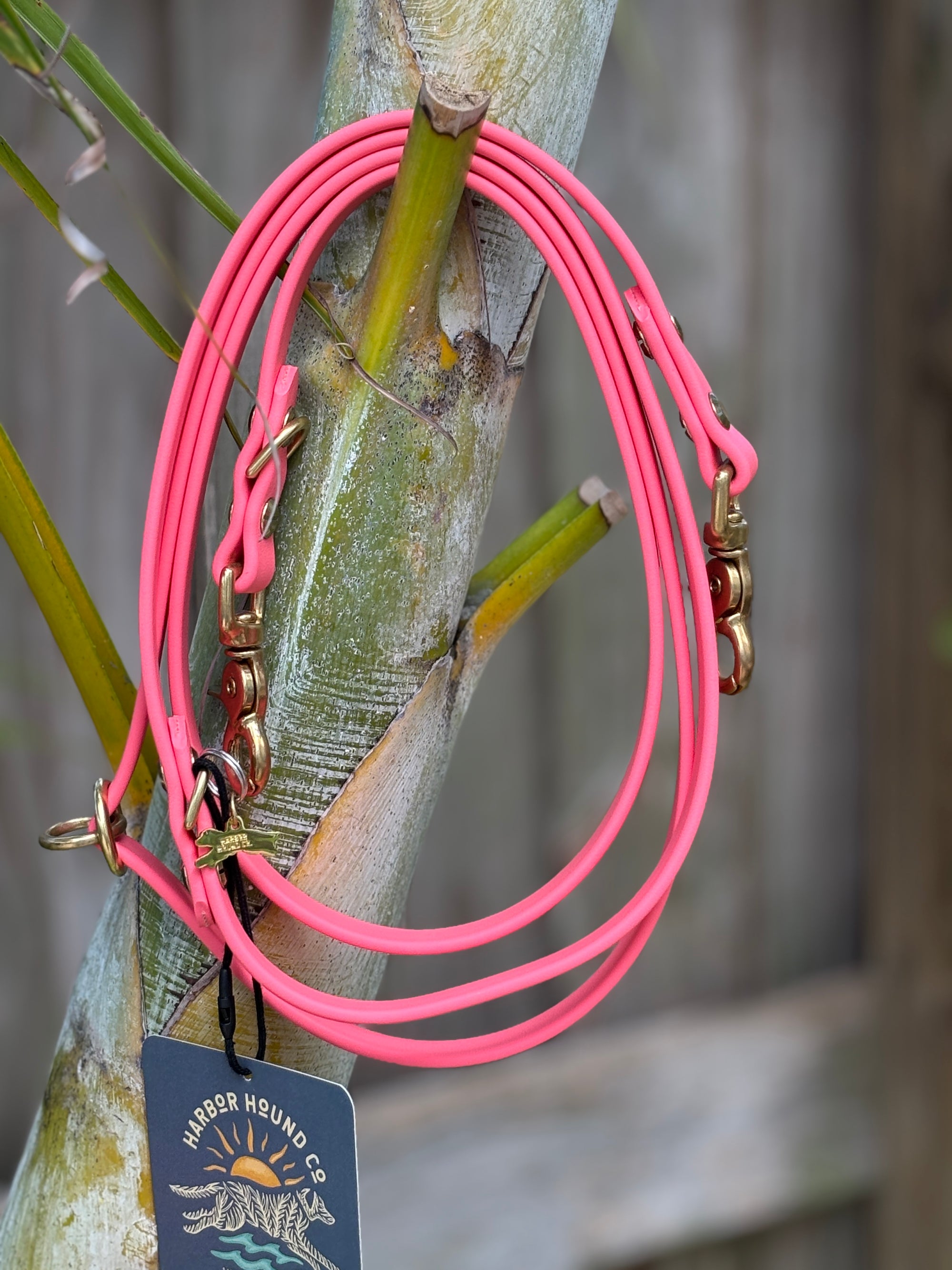Odyssey Adjustable Leash, 5/8" CORAL