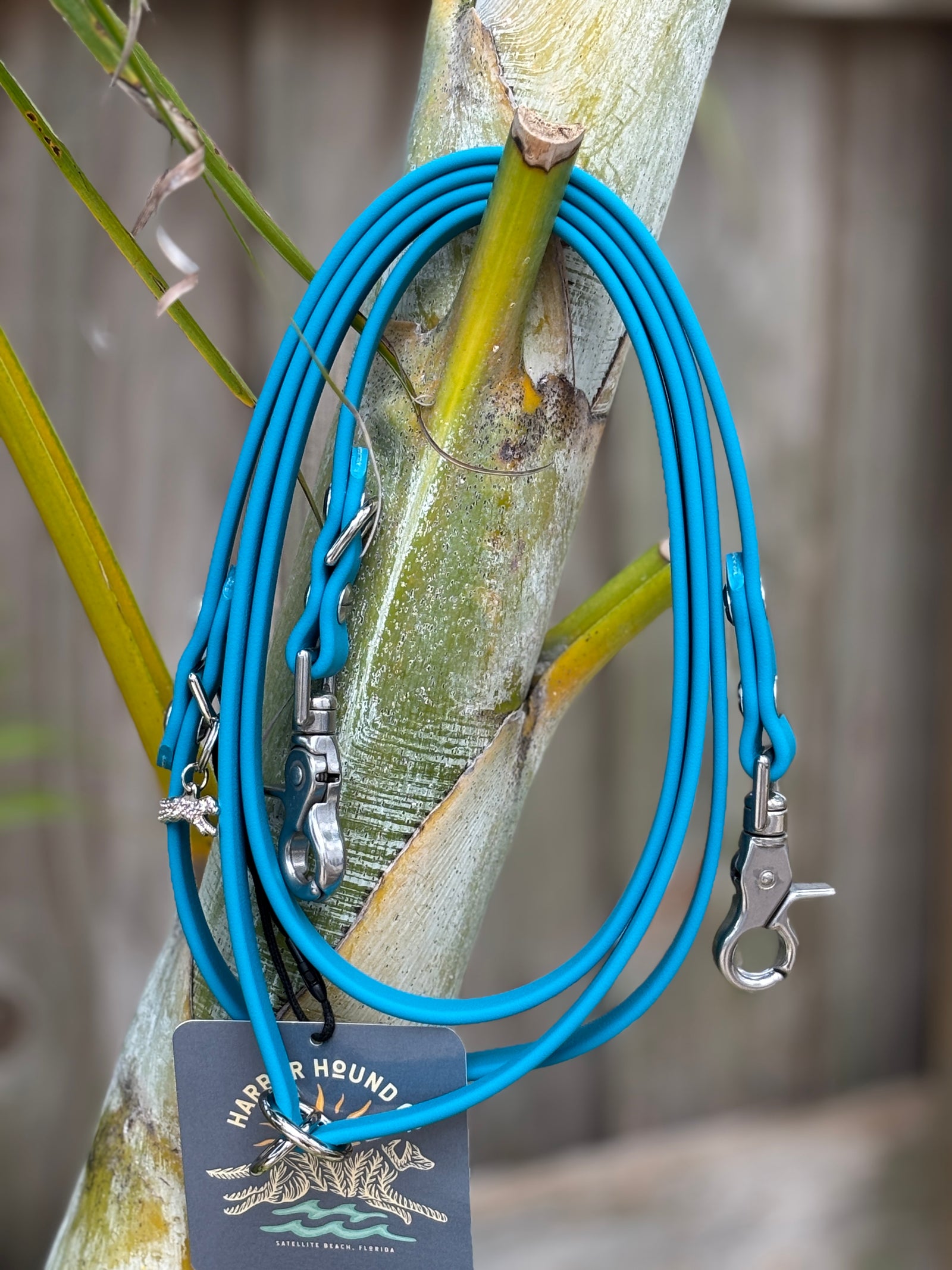 Odyssey Adjustable Leash, 5/8" LAGOON