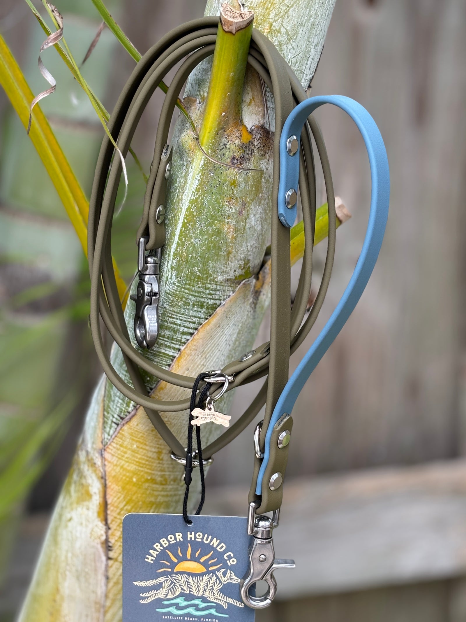 Odyssey Adjustable Leash, 5/8" OLIVE & MOUNTAIN SLATE