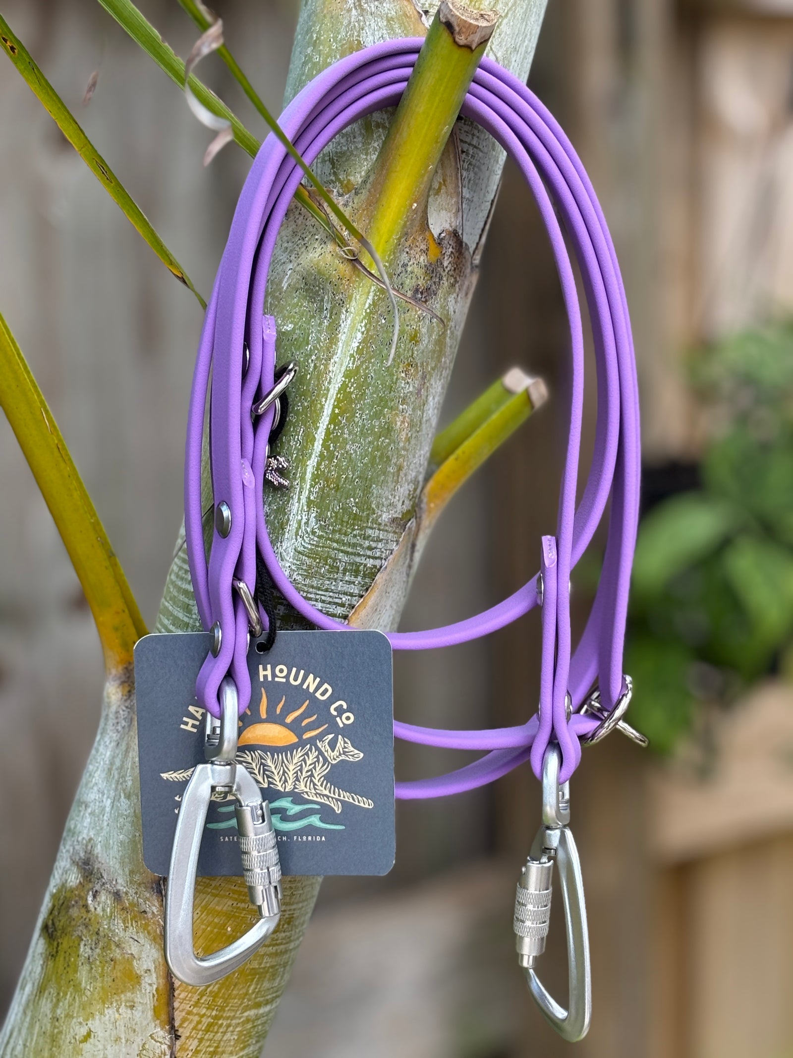 Odyssey Adjustable Leash, 5/8" ORCHID