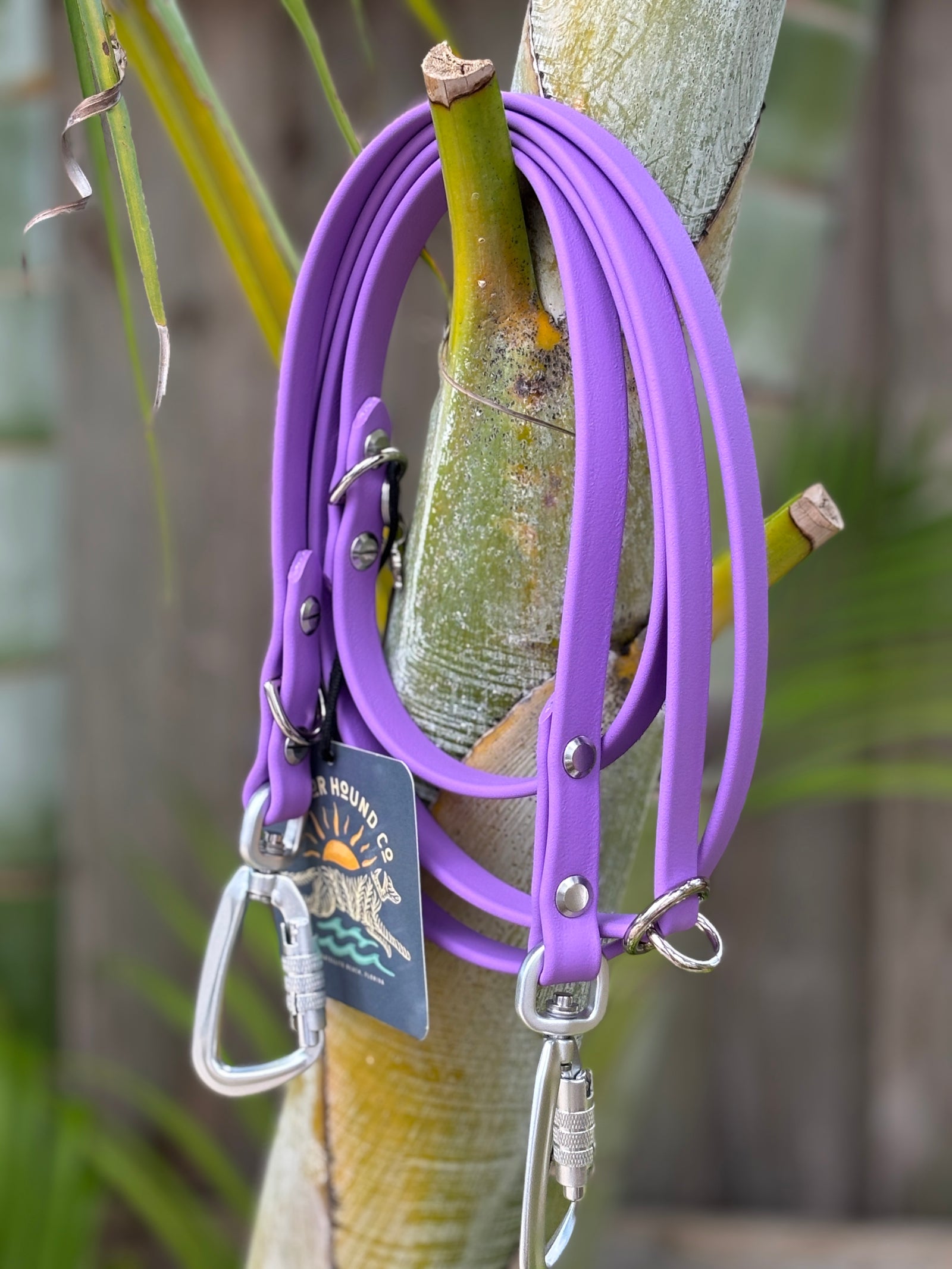 Odyssey Adjustable Leash, 5/8" ORCHID