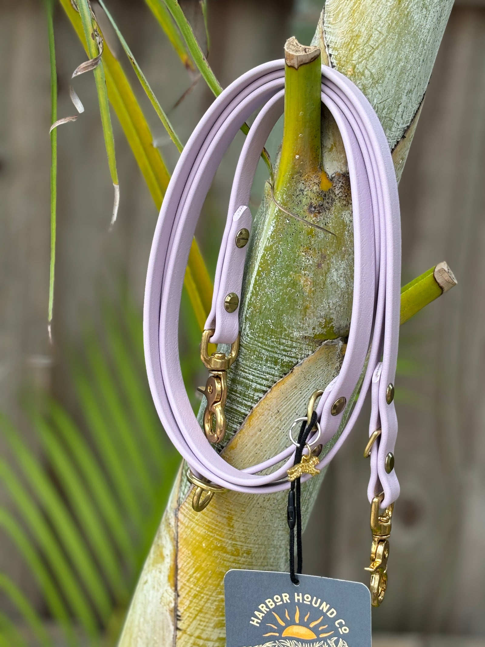 Odyssey Adjustable Leash, 5/8" LAVENDER