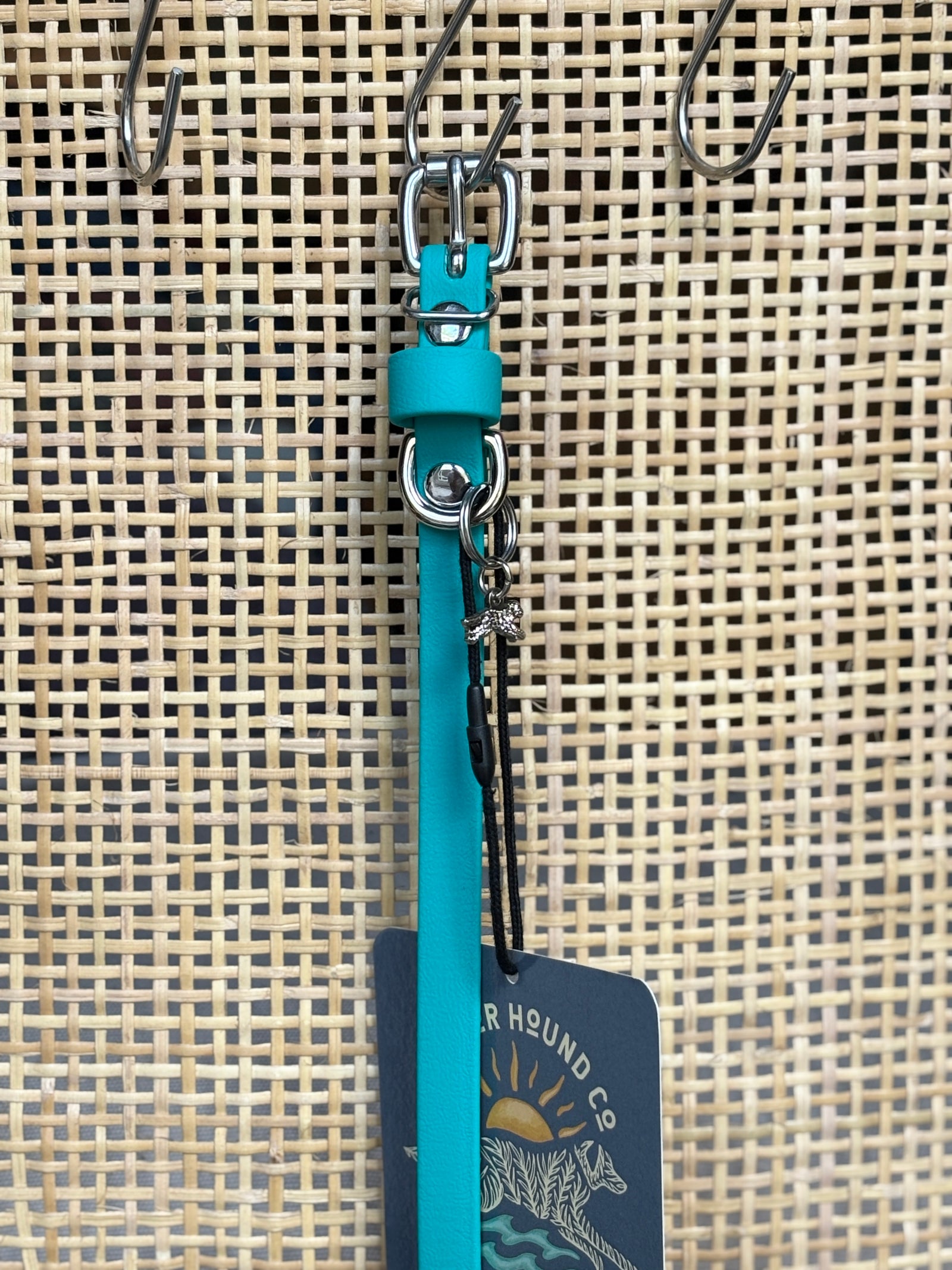 TURQUOISE Buckle Collars