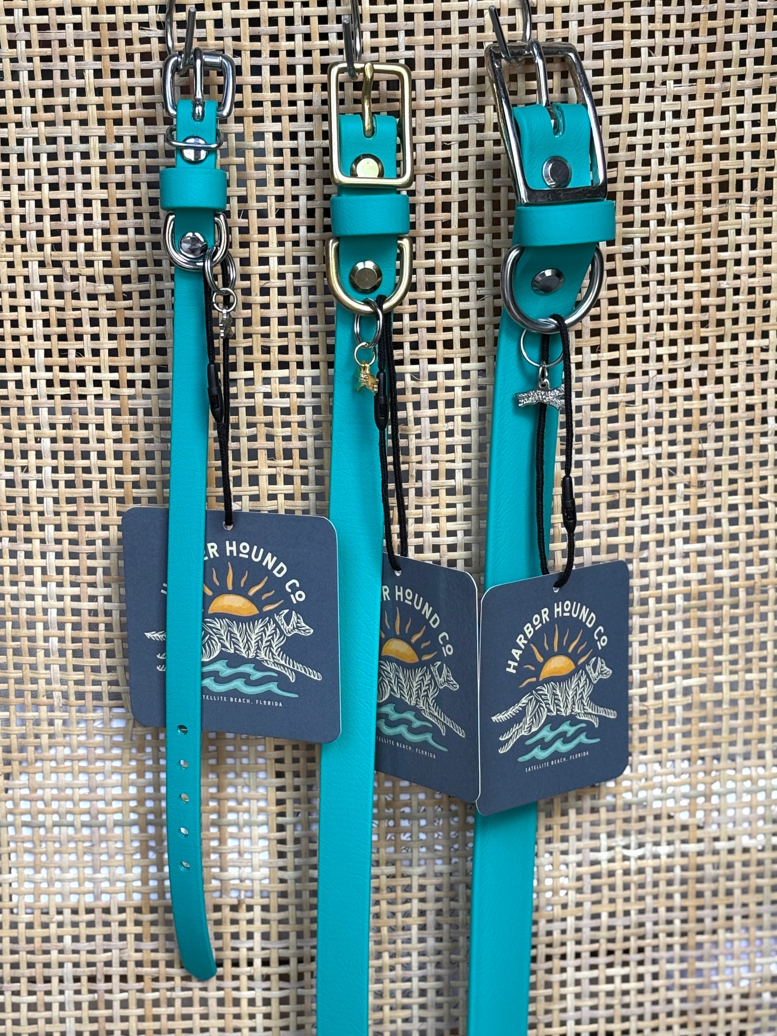 TURQUOISE Buckle Collars