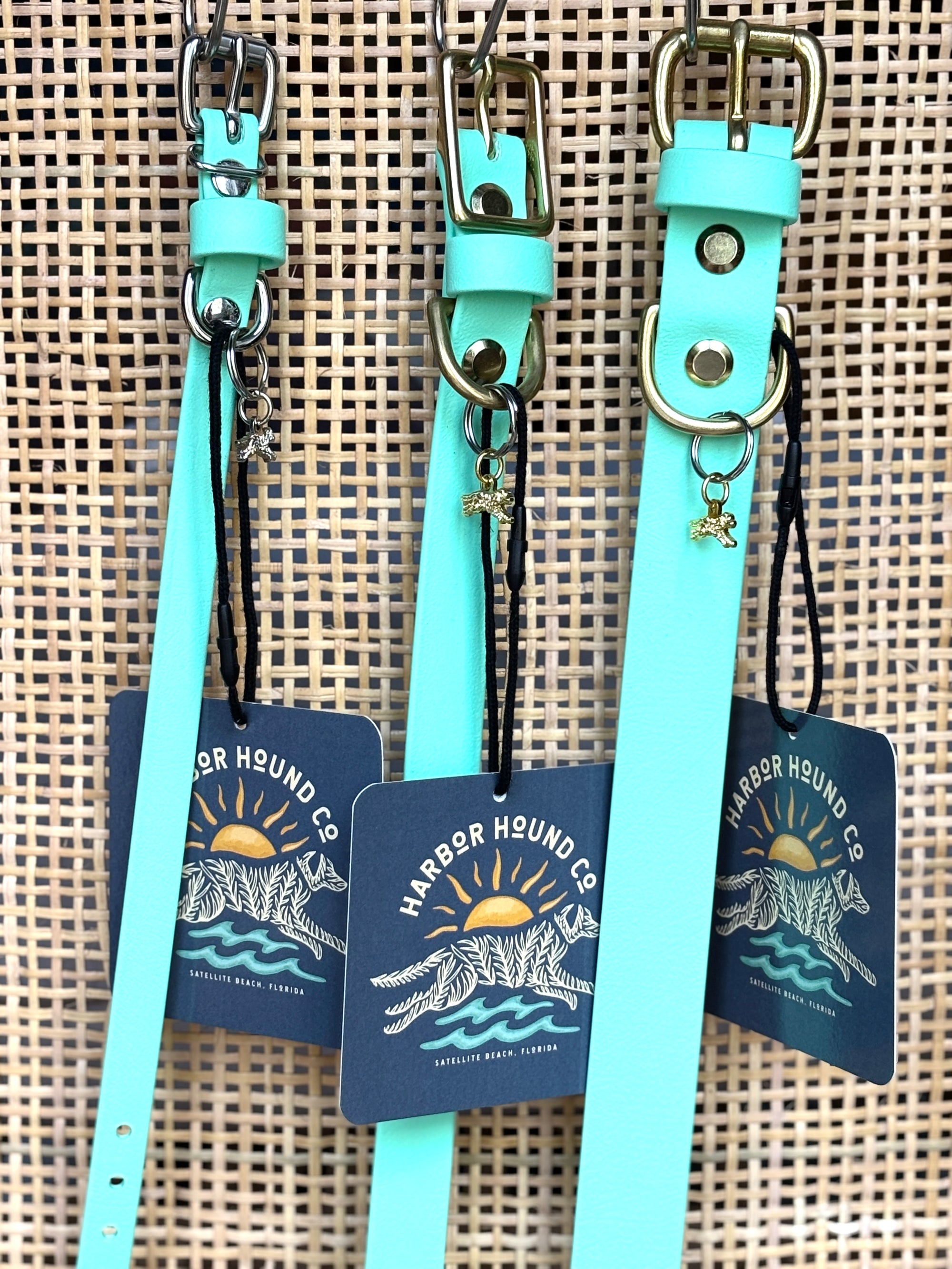 SEAFOAM Buckle Collars