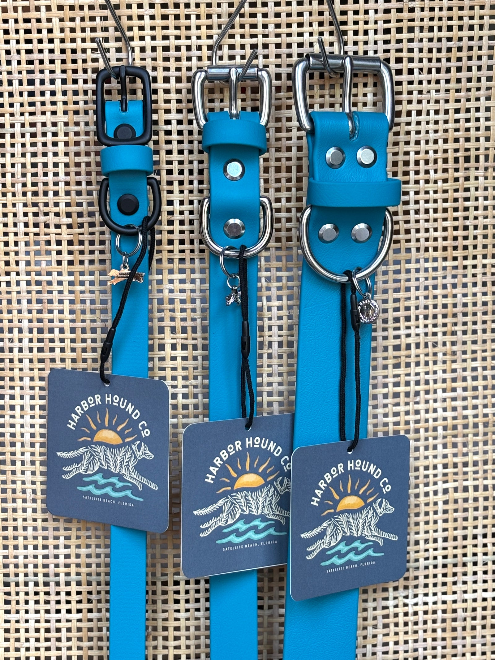 LAGOON Buckle Collars