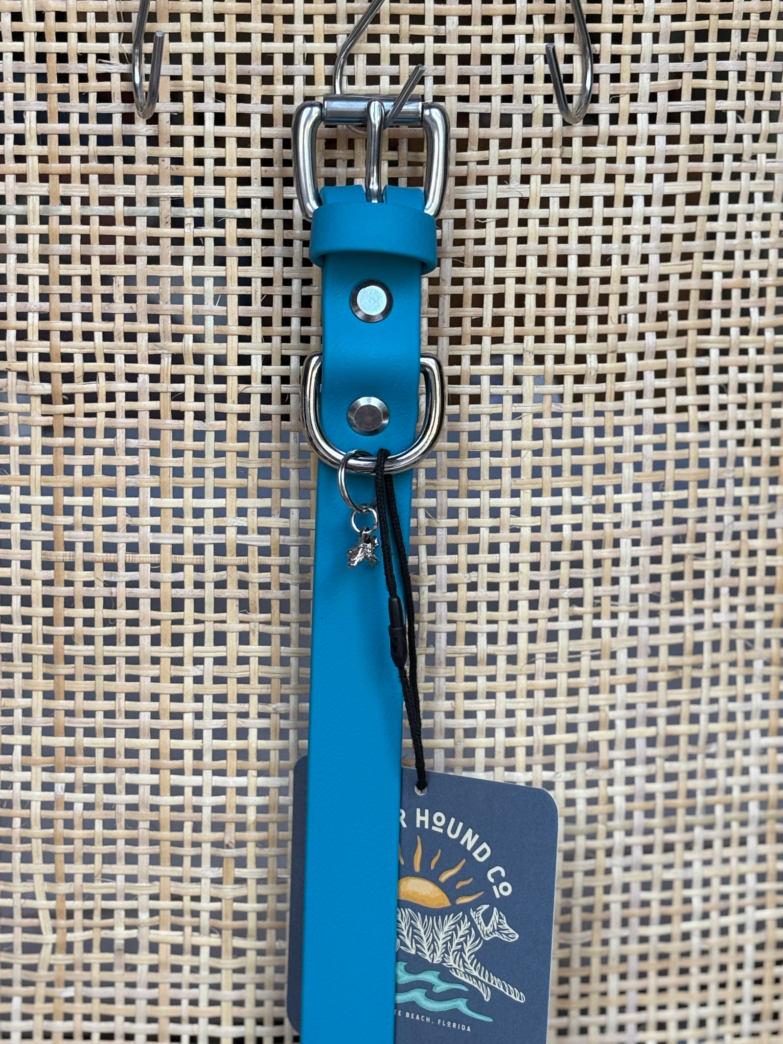 LAGOON Buckle Collars