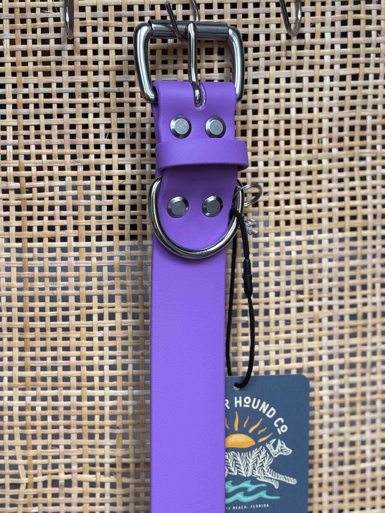 ORCHID Buckle Collars