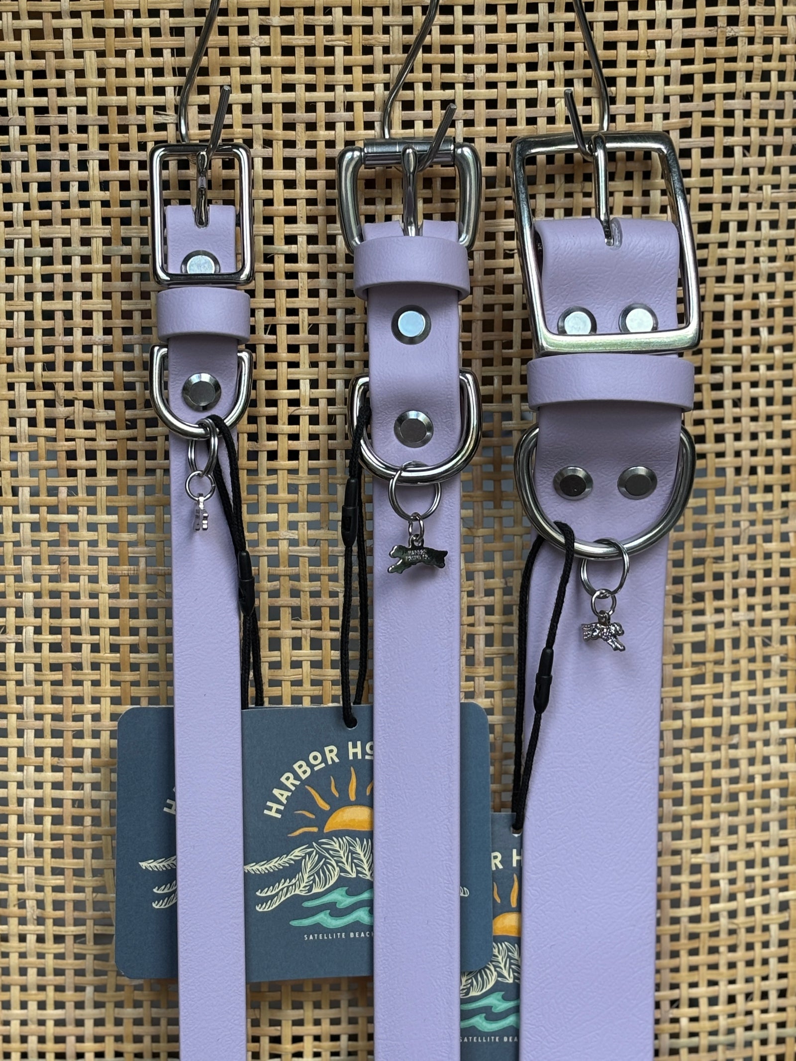 LAVENDER Buckle Collars