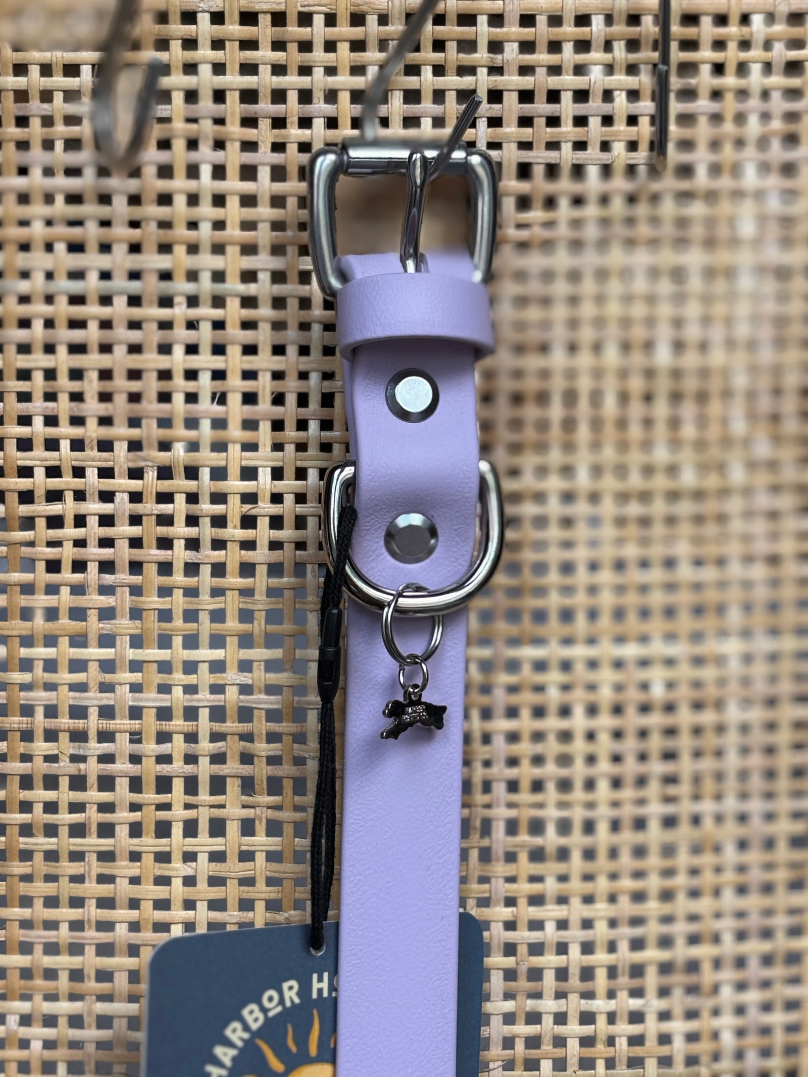 LAVENDER Buckle Collars