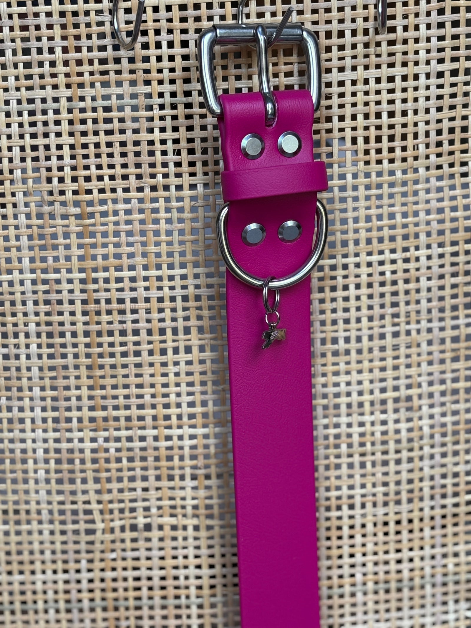 1.5" MAGENTA, 17-19" Buckle Collars