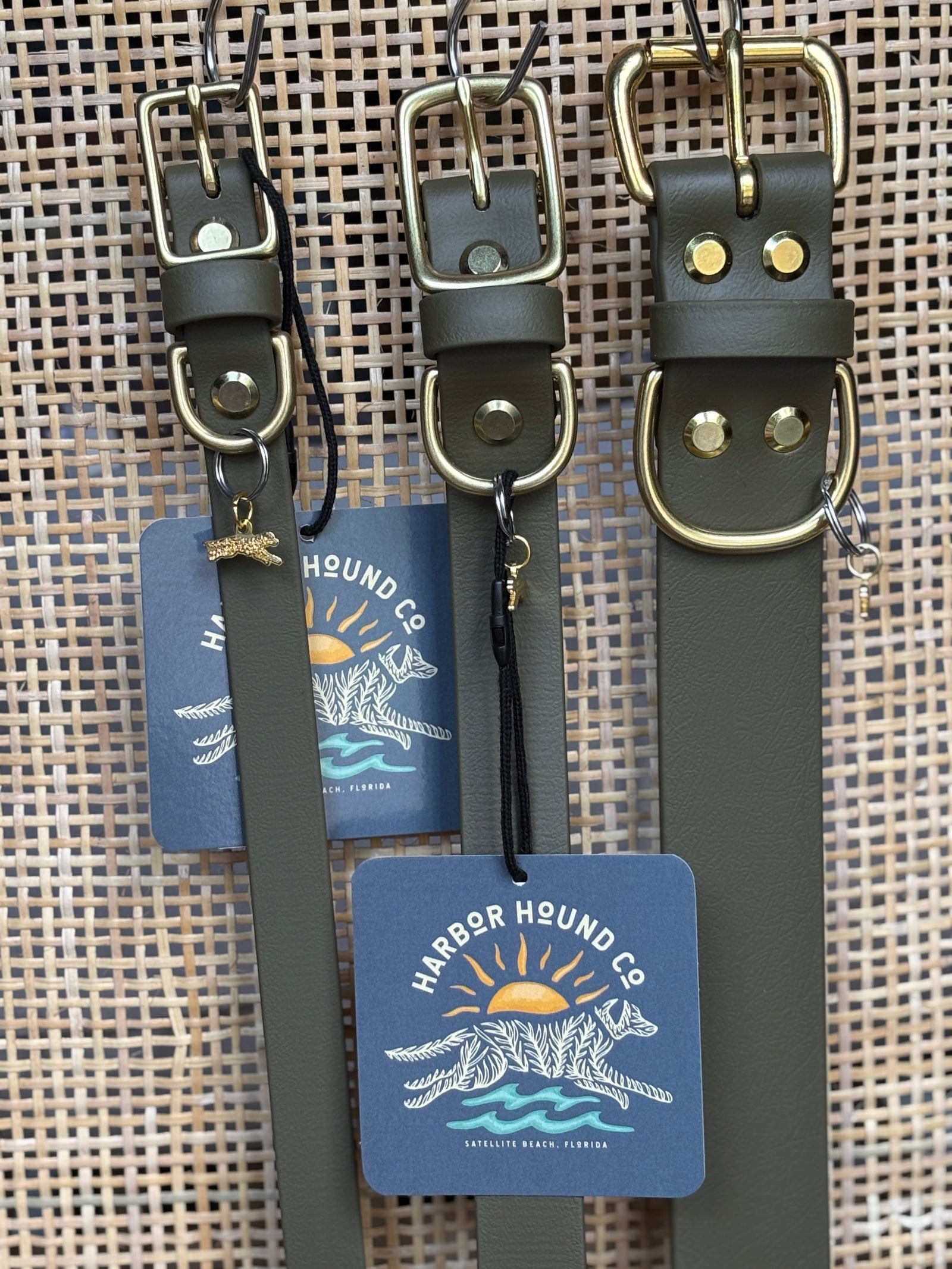 OLIVE Buckle Collars