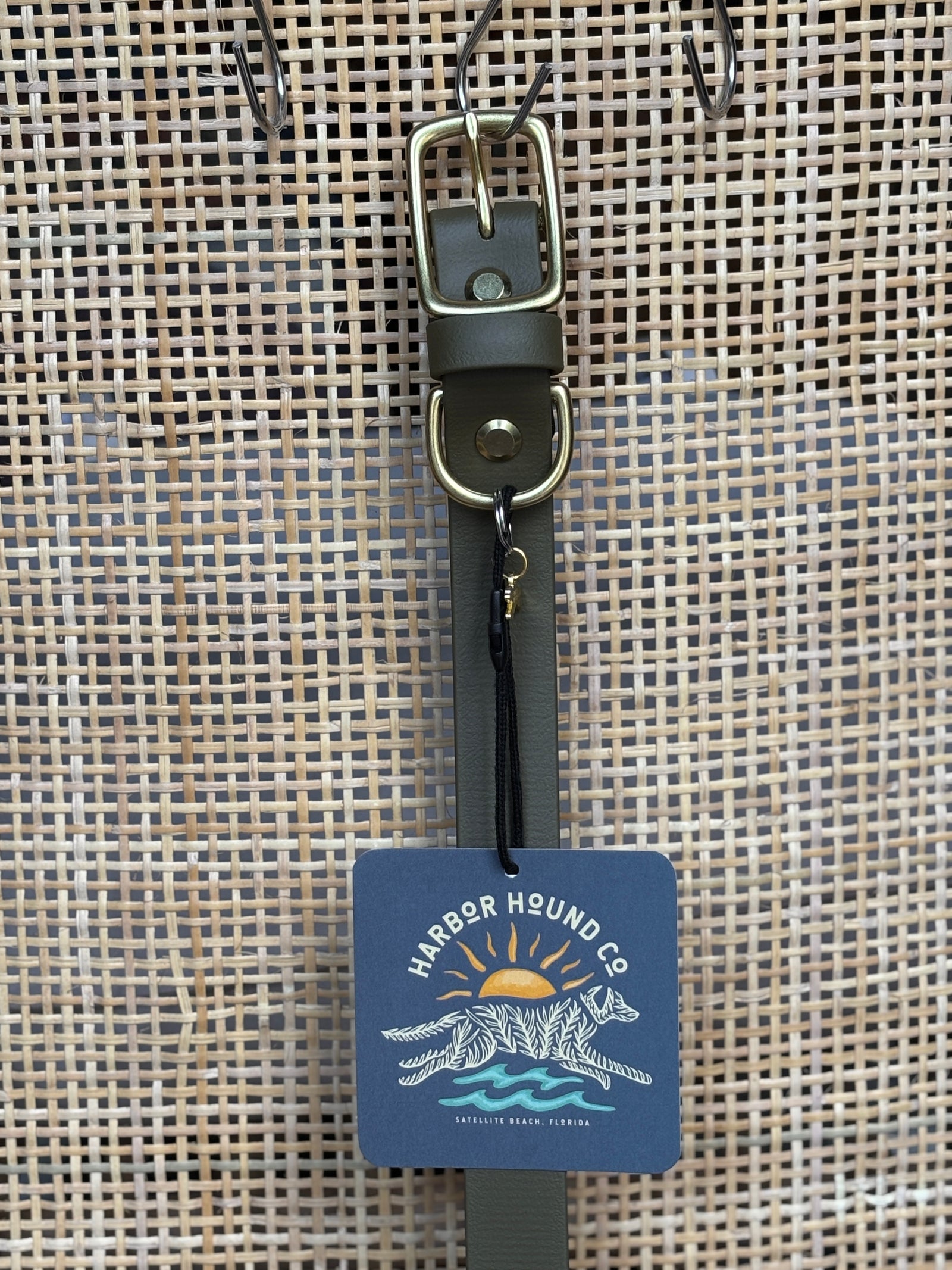 OLIVE Buckle Collars