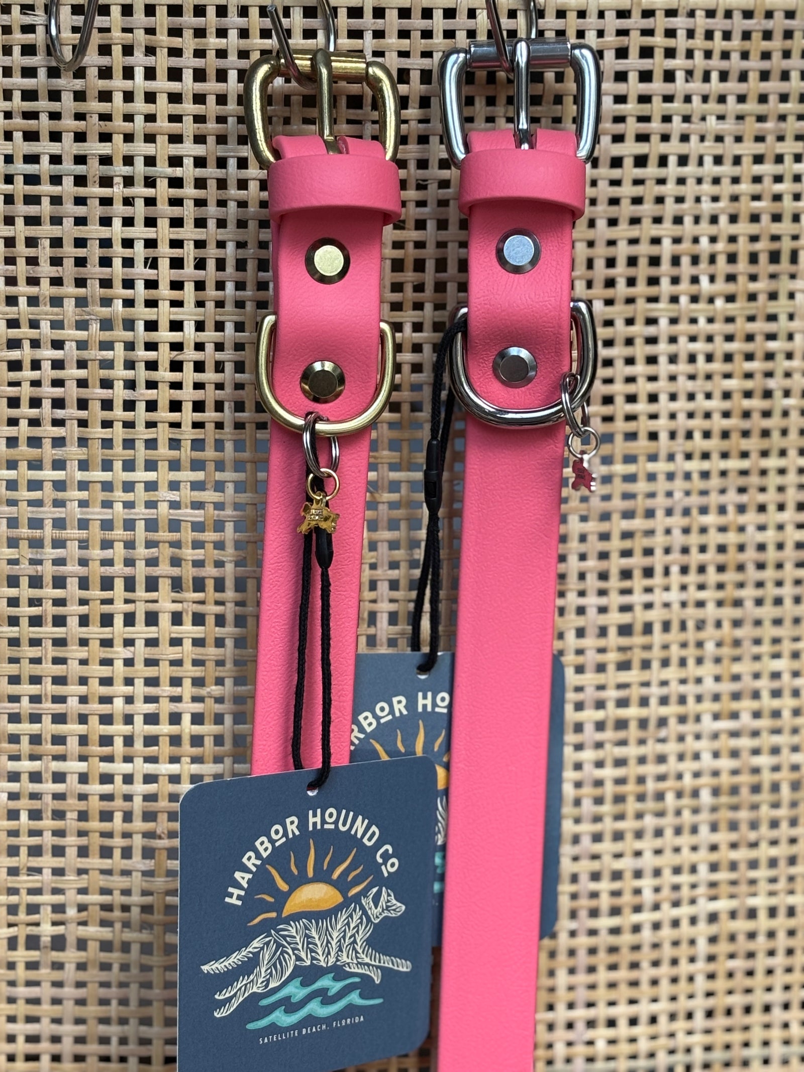 CORAL Buckle Collars