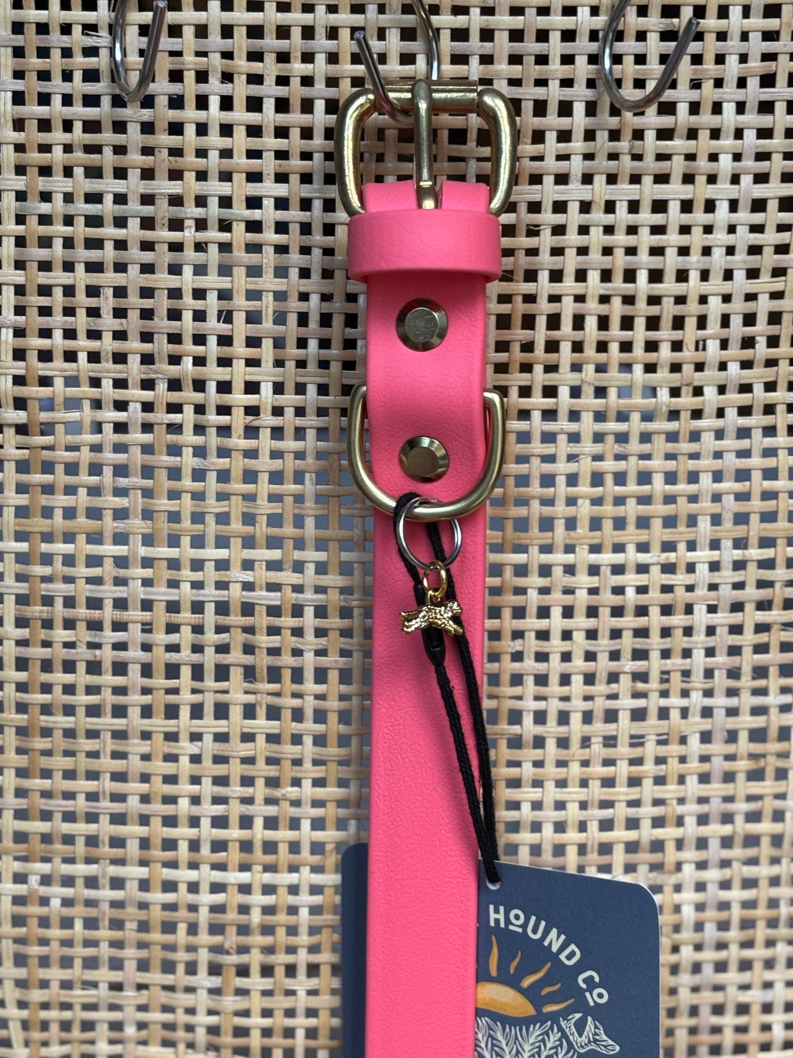 CORAL Buckle Collars