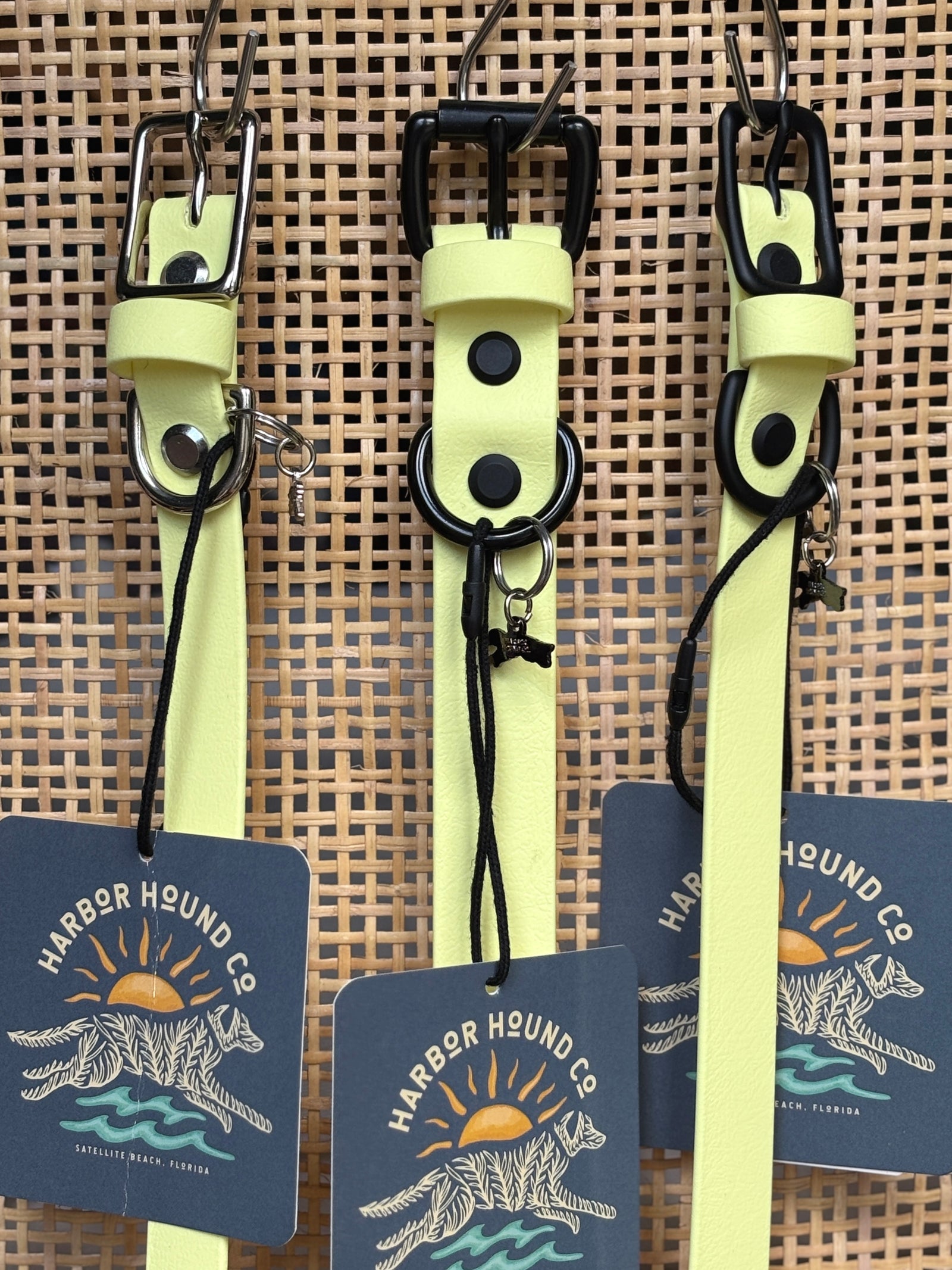 SUNNY YELLOW Buckle Collars