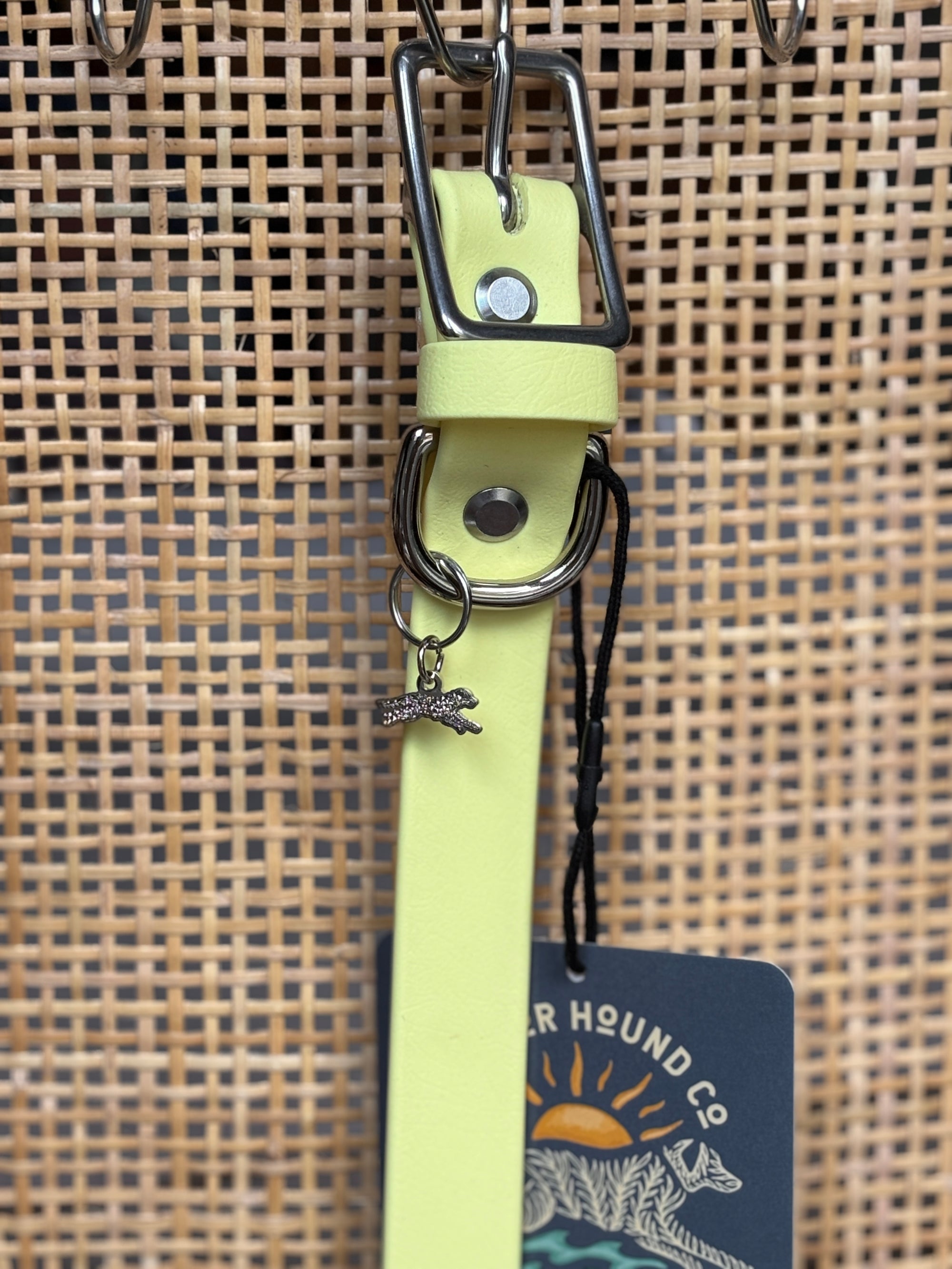 SUNNY YELLOW Buckle Collars