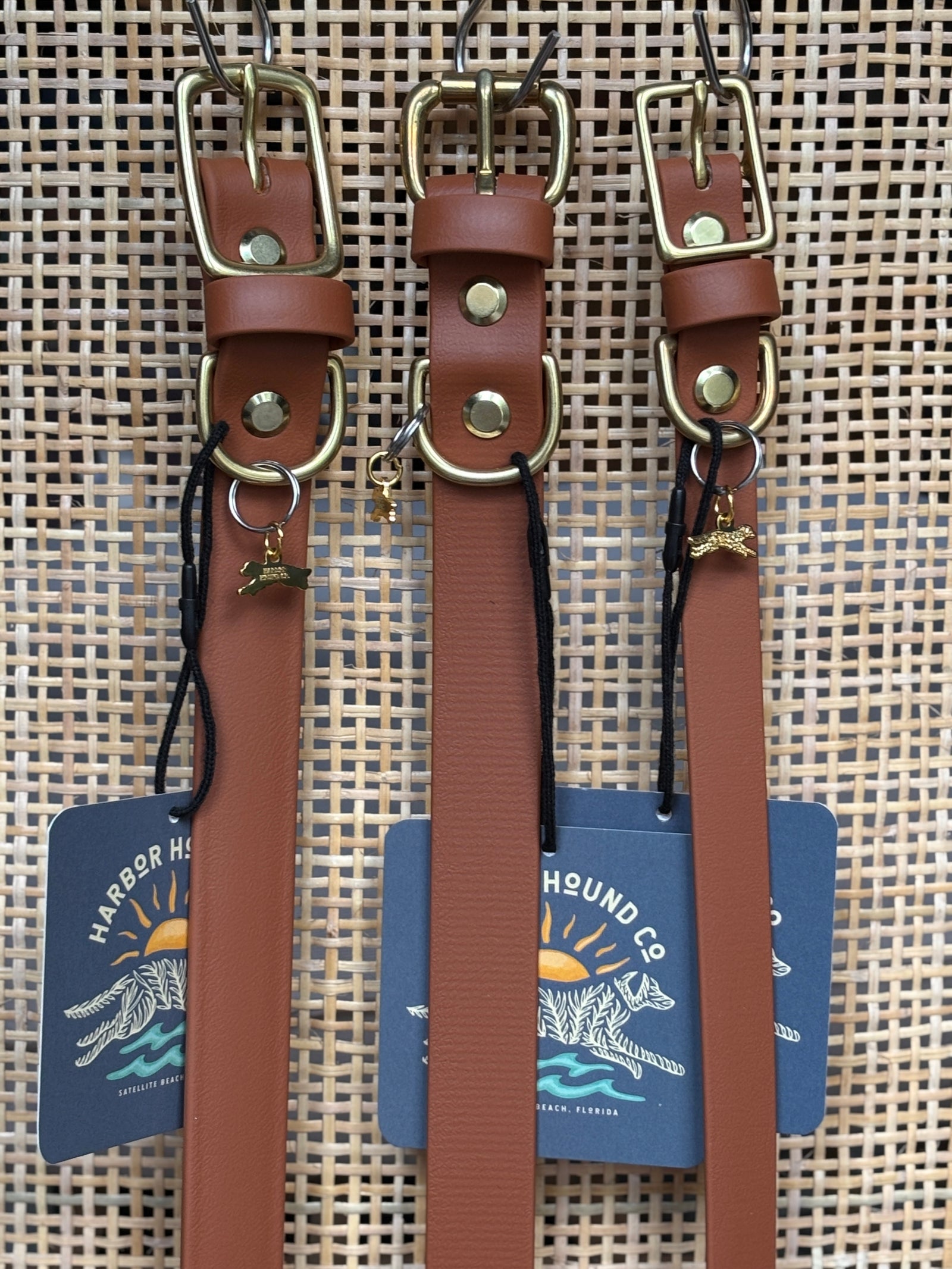 COGNAC Buckle Collars