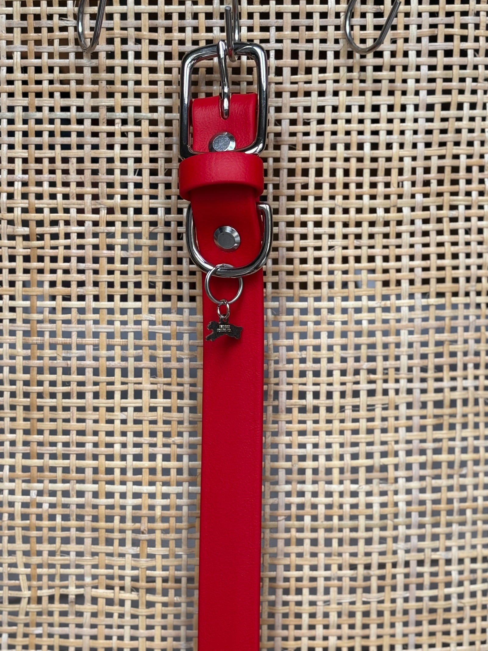 RED Buckle Collars