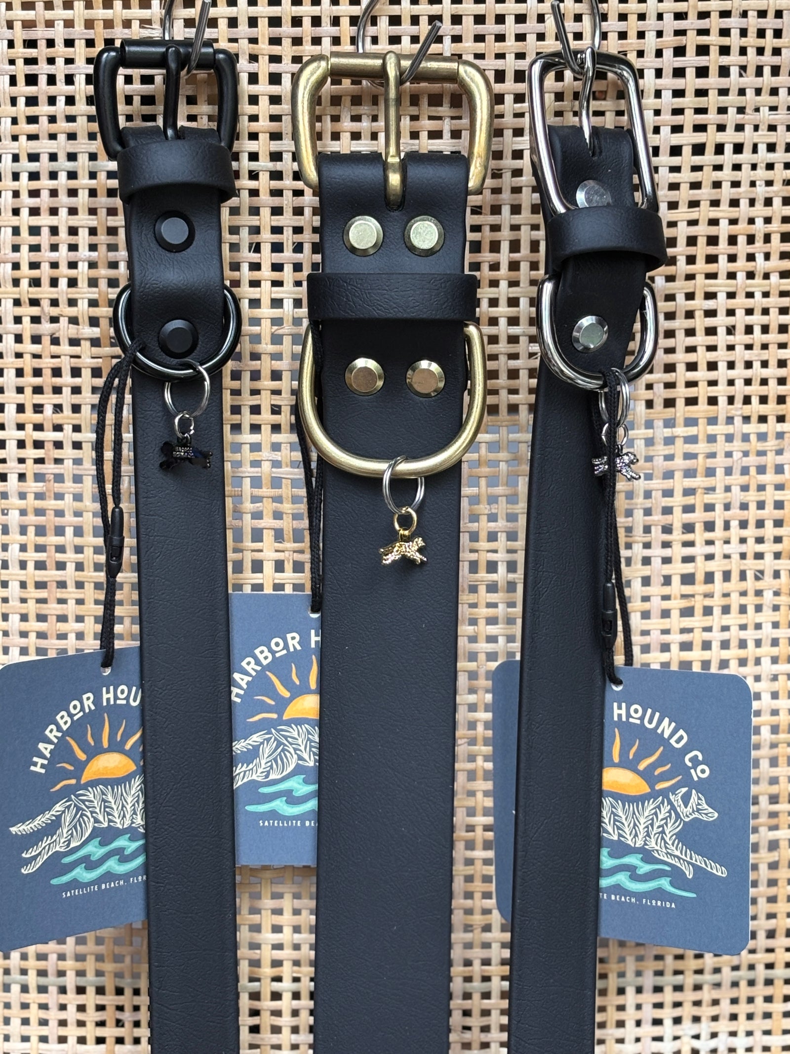 BLACK Buckle Collars