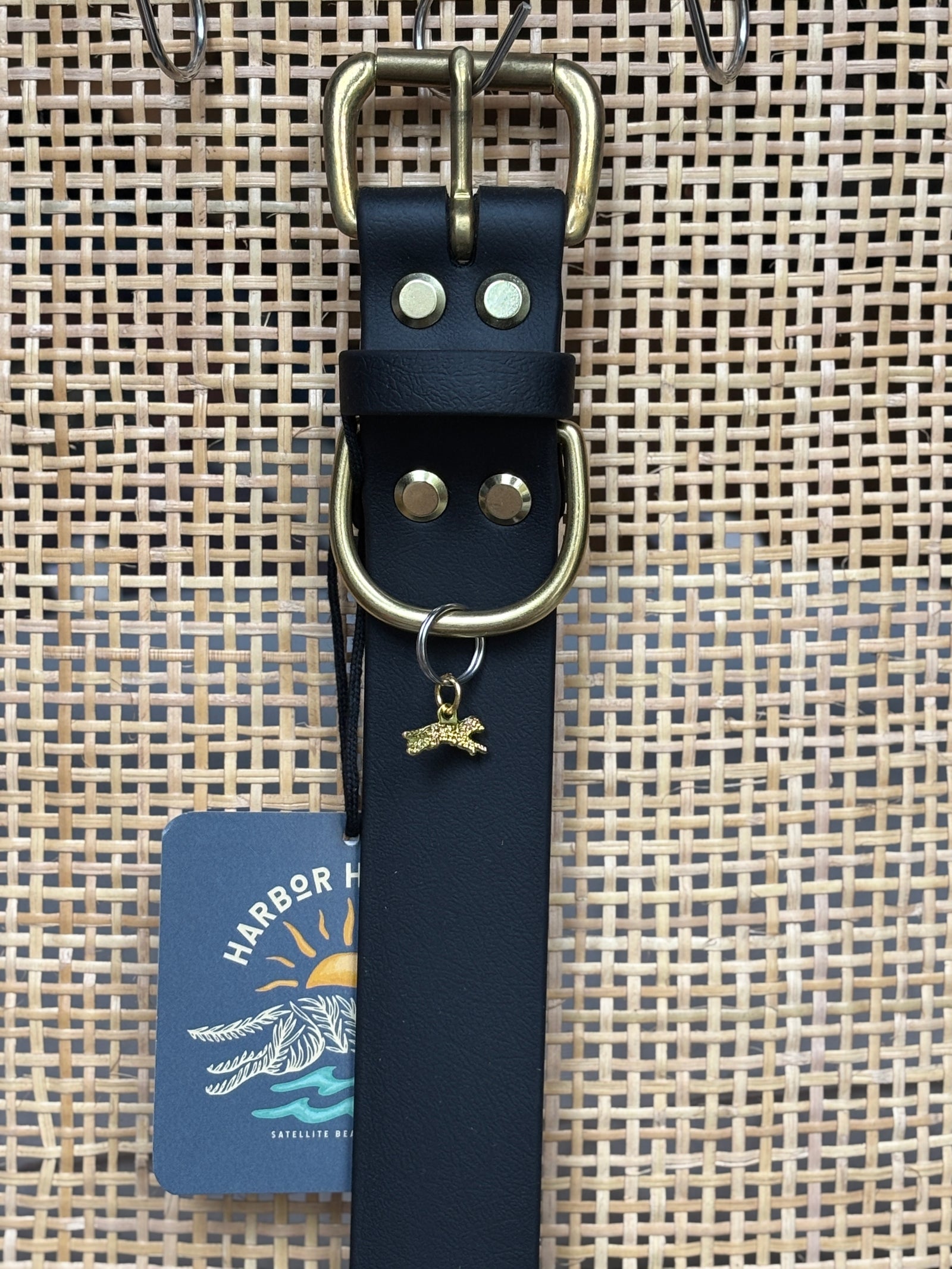 BLACK Buckle Collars