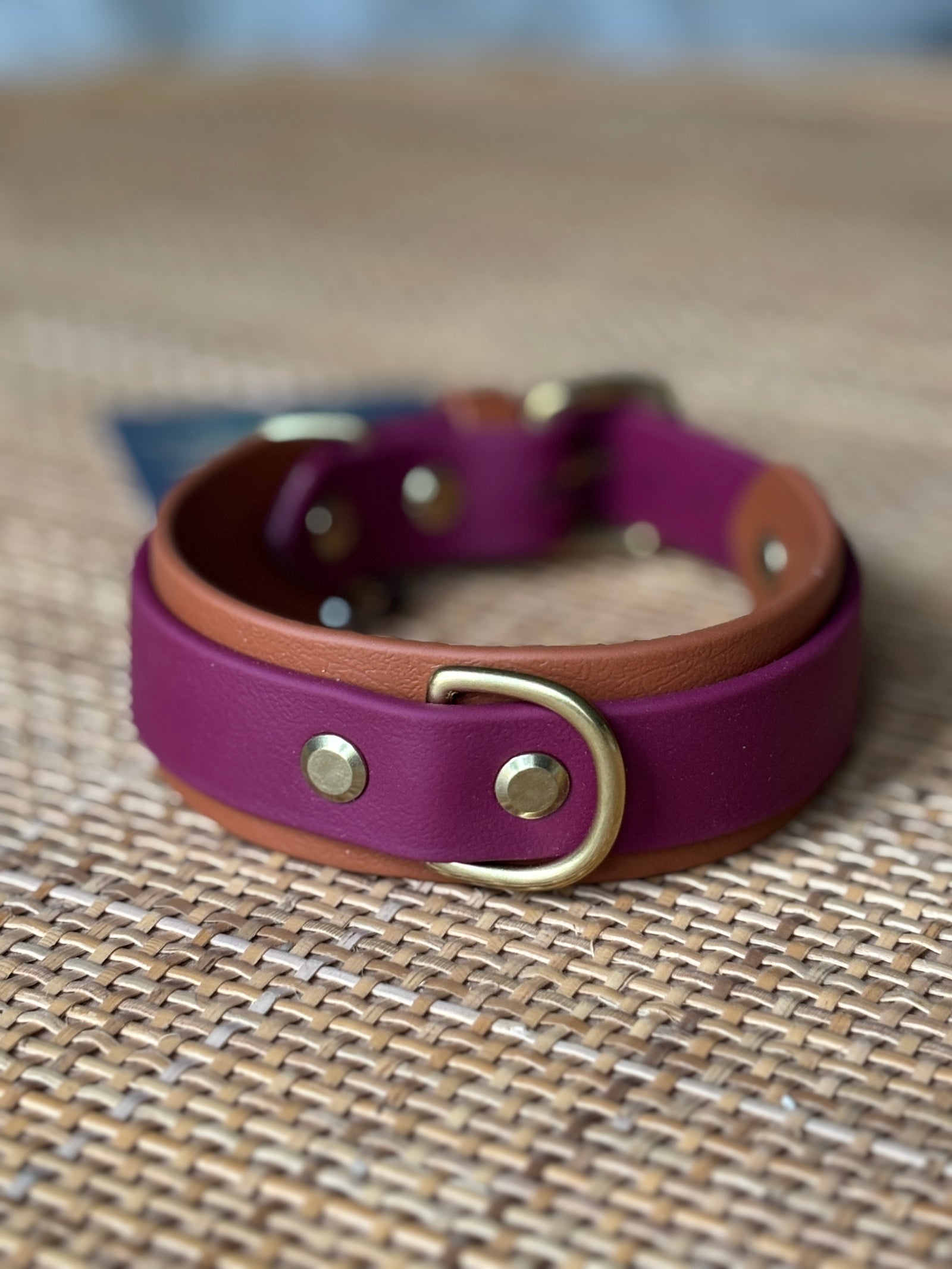 1.5" Taliesin Buckle Collar, 13.5-15.5"