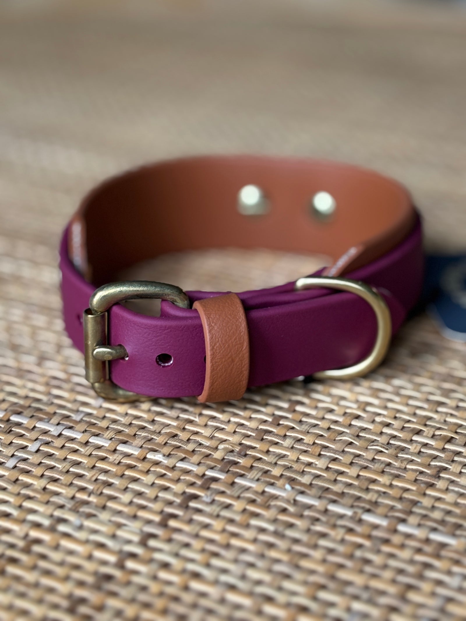 1.5" Taliesin Buckle Collar, 13.5-15.5"