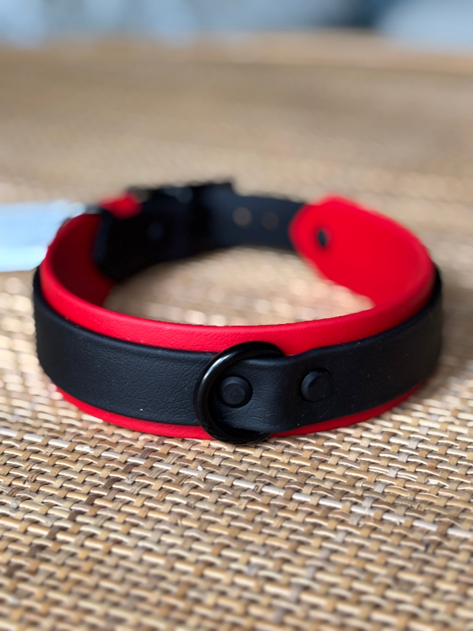 1.5" Taliesin Buckle Collar, 17-19"