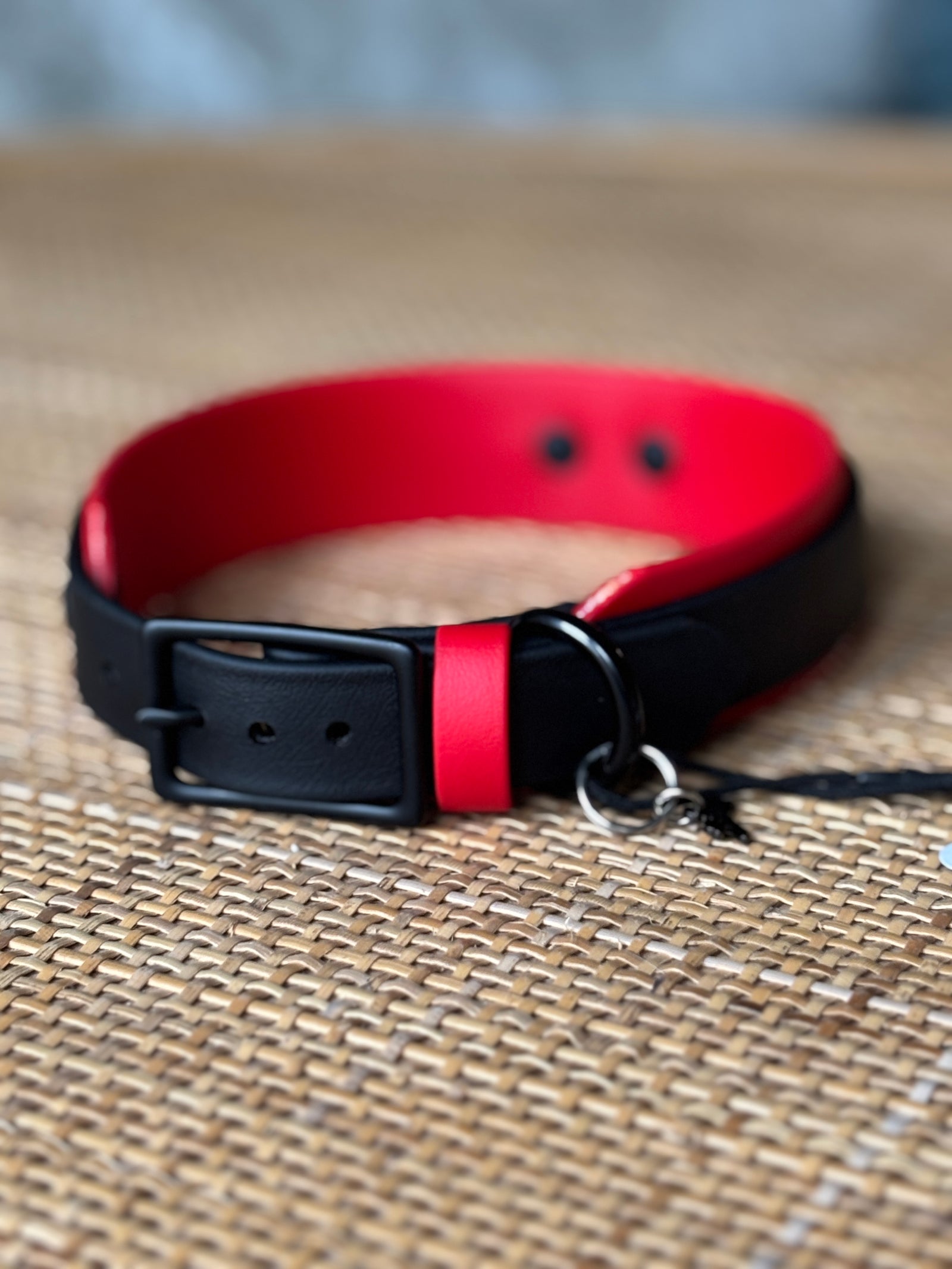 1.5" Taliesin Buckle Collar, 17-19"