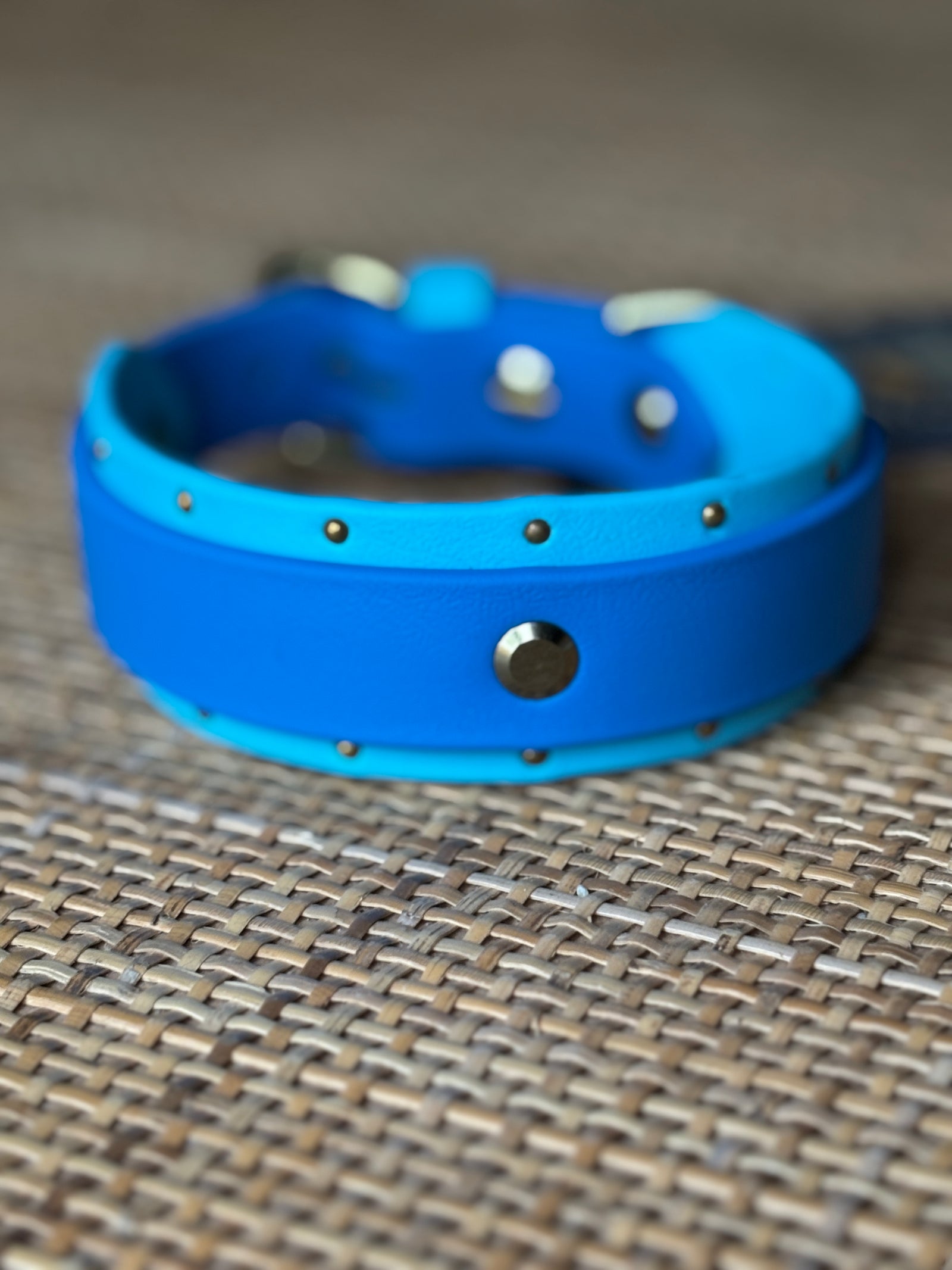 1.5" ORION Buckle Collar, 12.5-14.5"