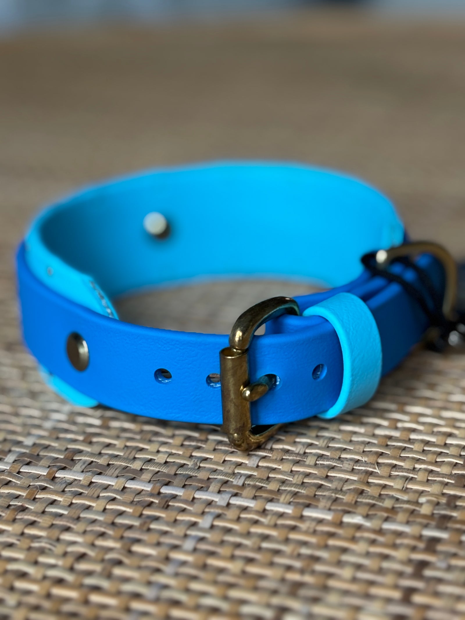 1.5" ORION Buckle Collar, 12.5-14.5"