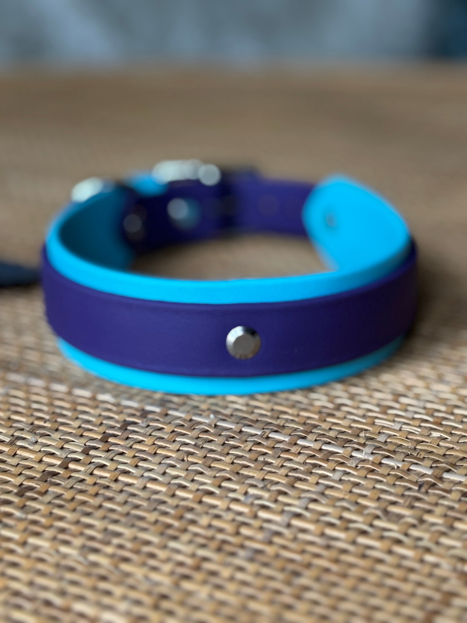 1.5" Taliesin Buckle Collar, 17-19"