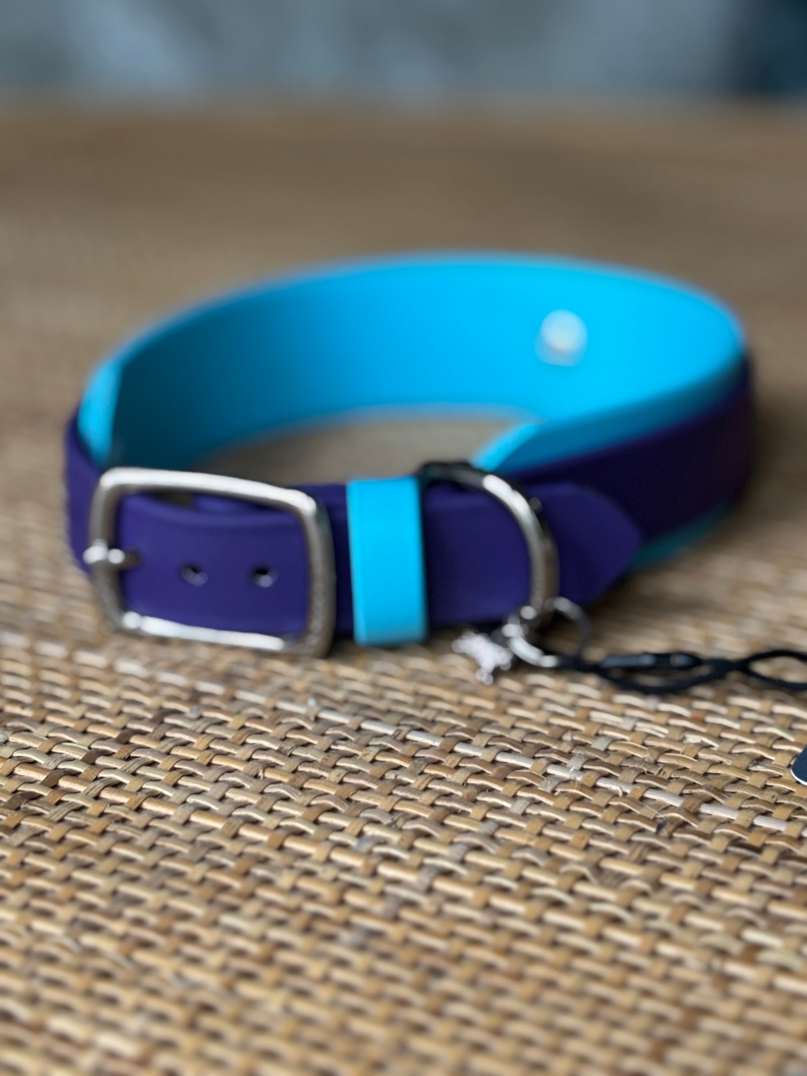 1.5" Taliesin Buckle Collar, 17-19"